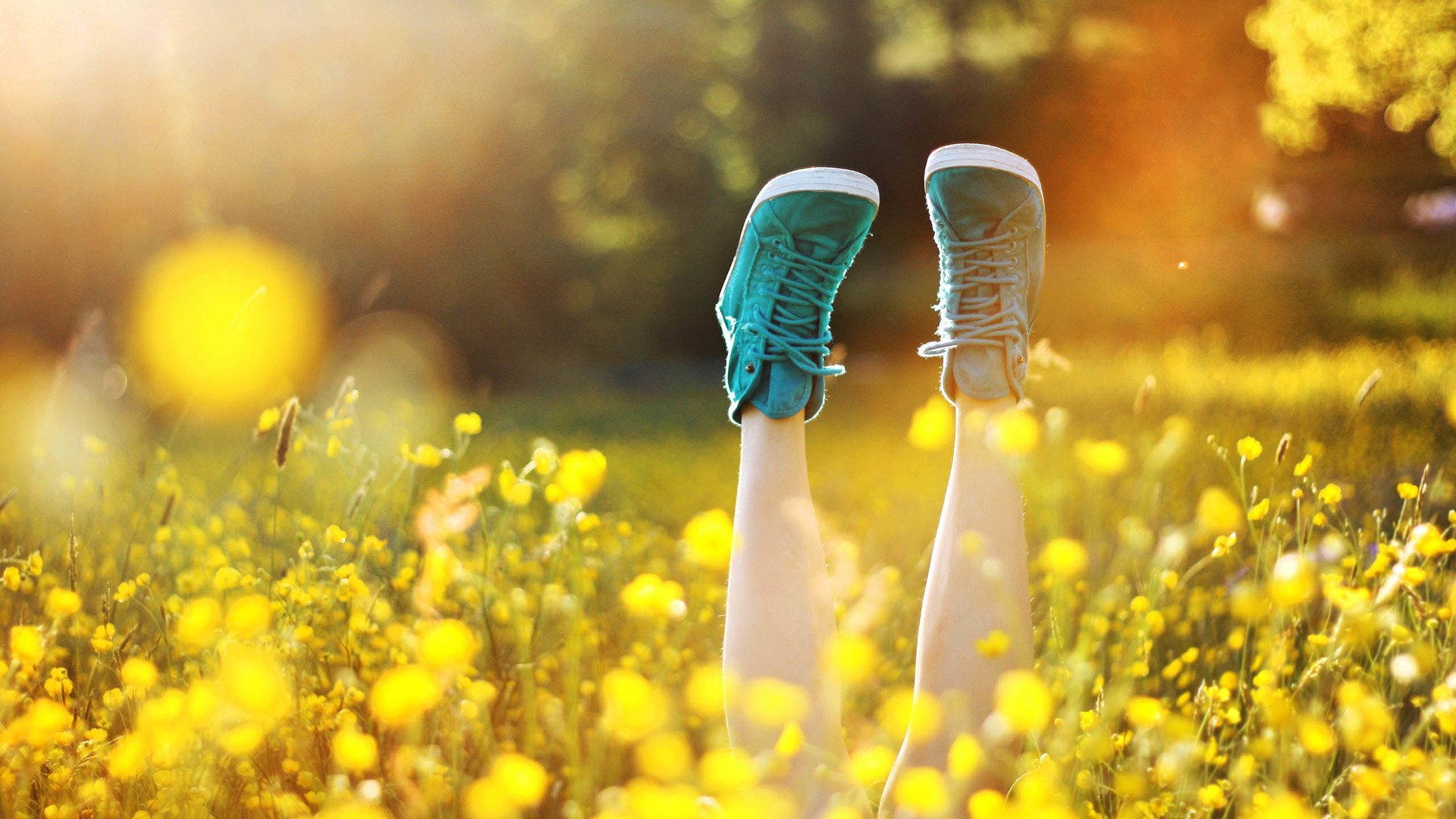 小清新 温暖 干净 安静 唯美 静物 物语 时光