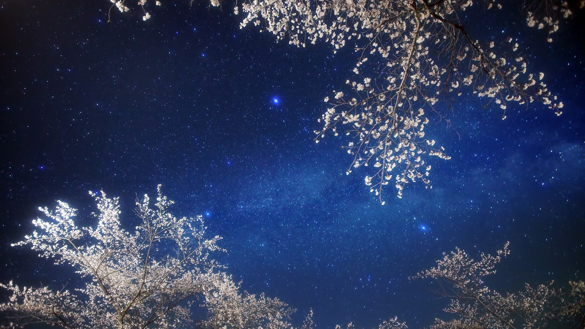 炫酷 特效   星空 宇宙