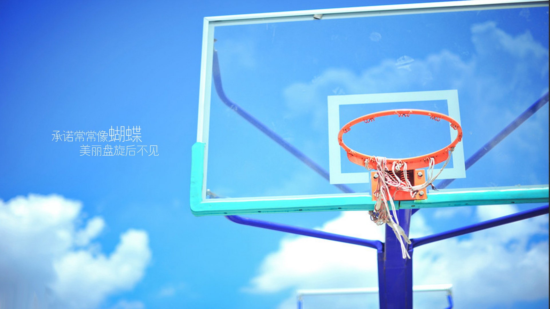 小清新 温暖 干净 安静 唯美 静物 物语 时光 毕业季 文字 分别 离开 伤感  @酷音铃声