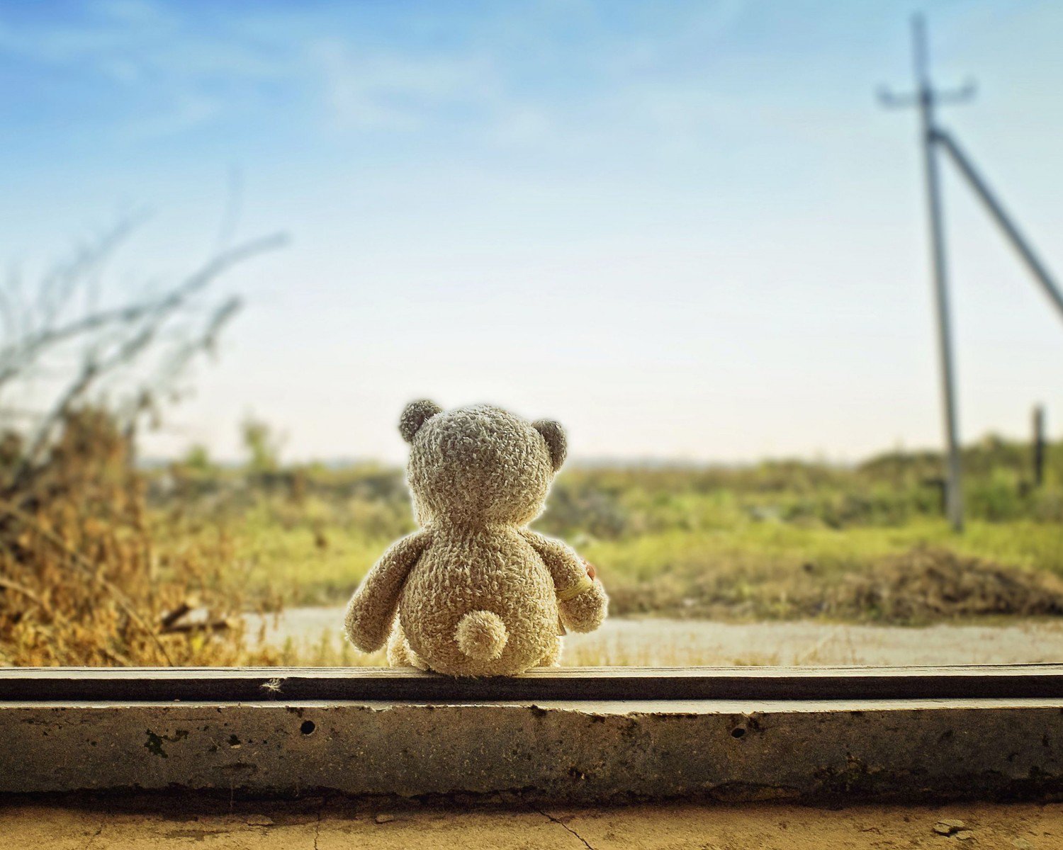 小清新 app头图 儿童桌面专用