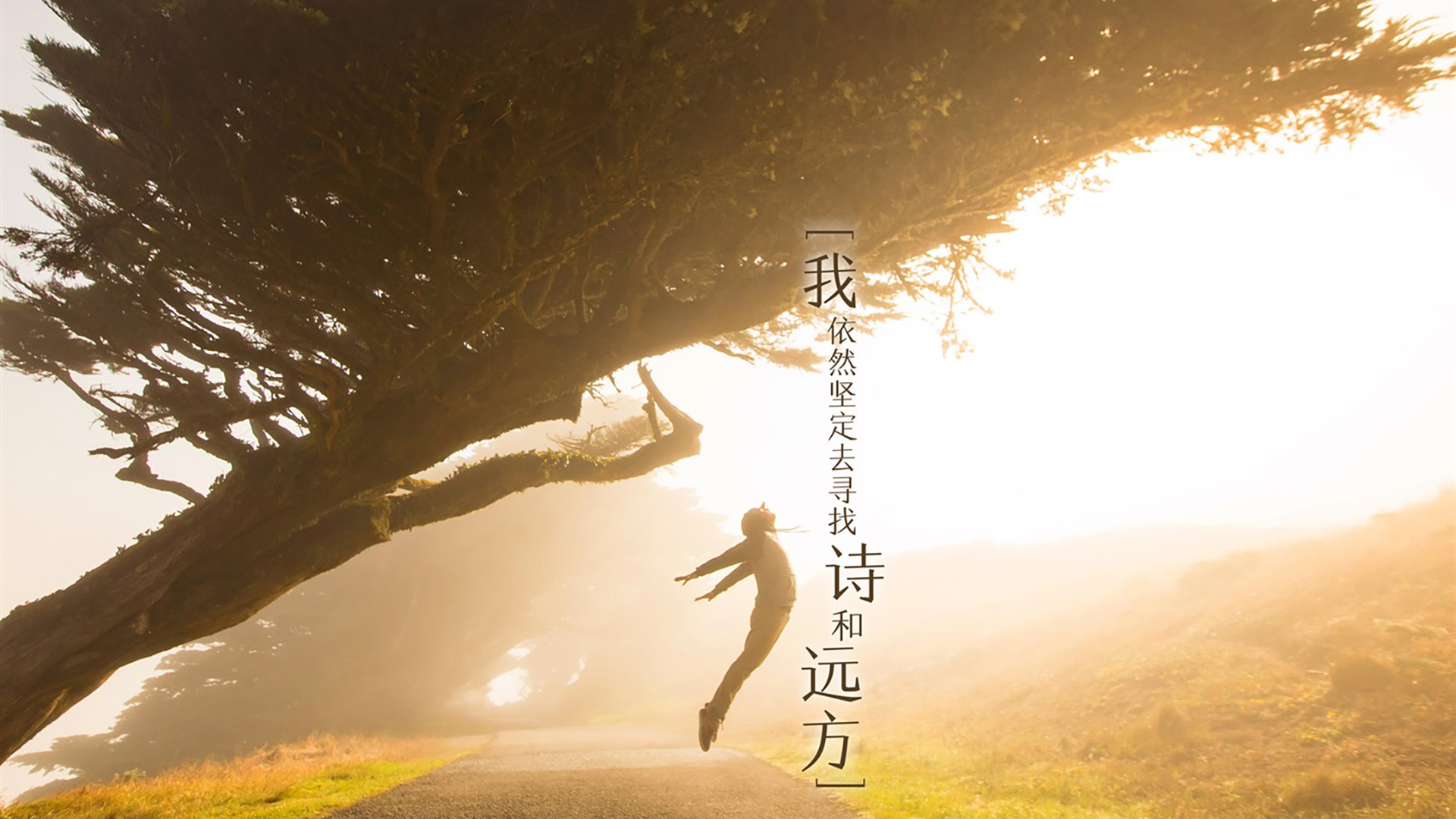 文字 旅行 语录