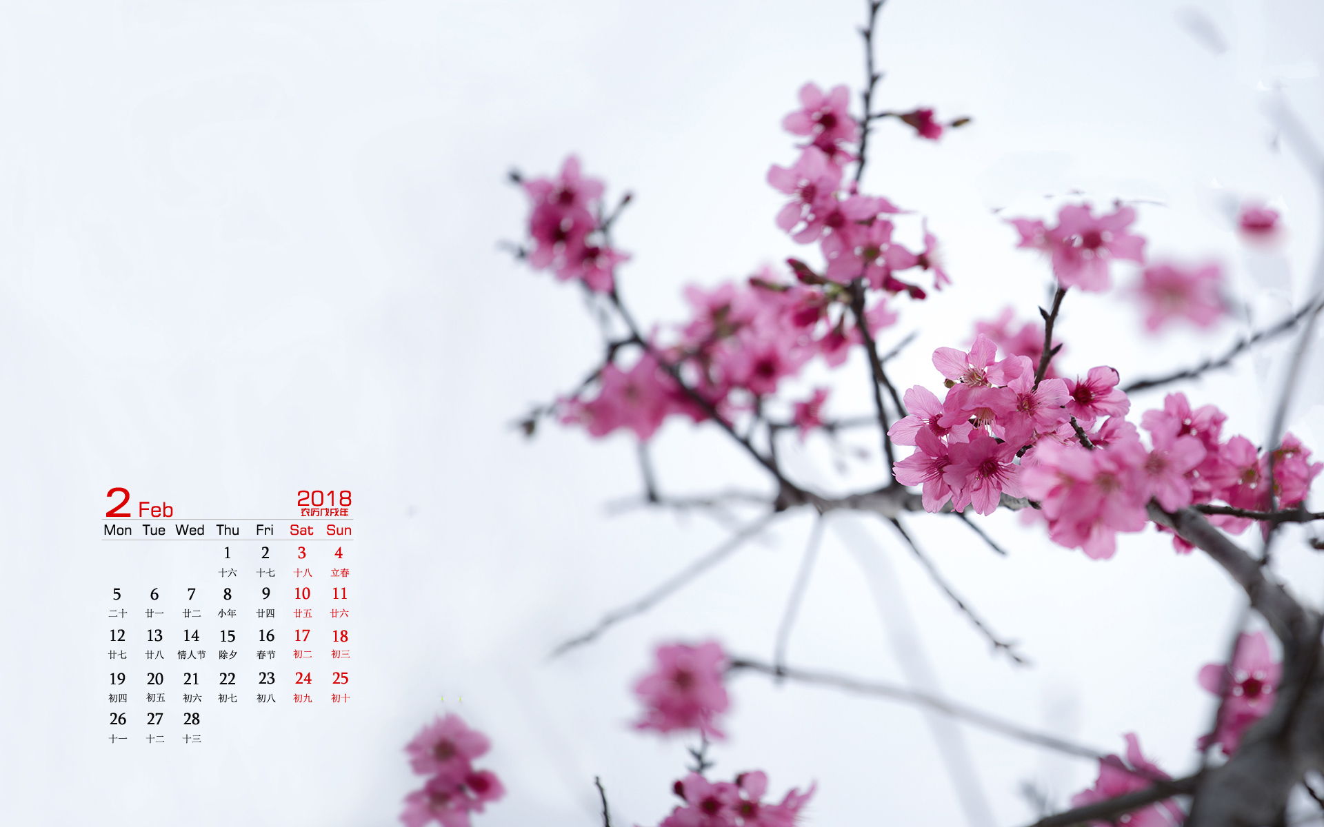 月历 2018年2月
