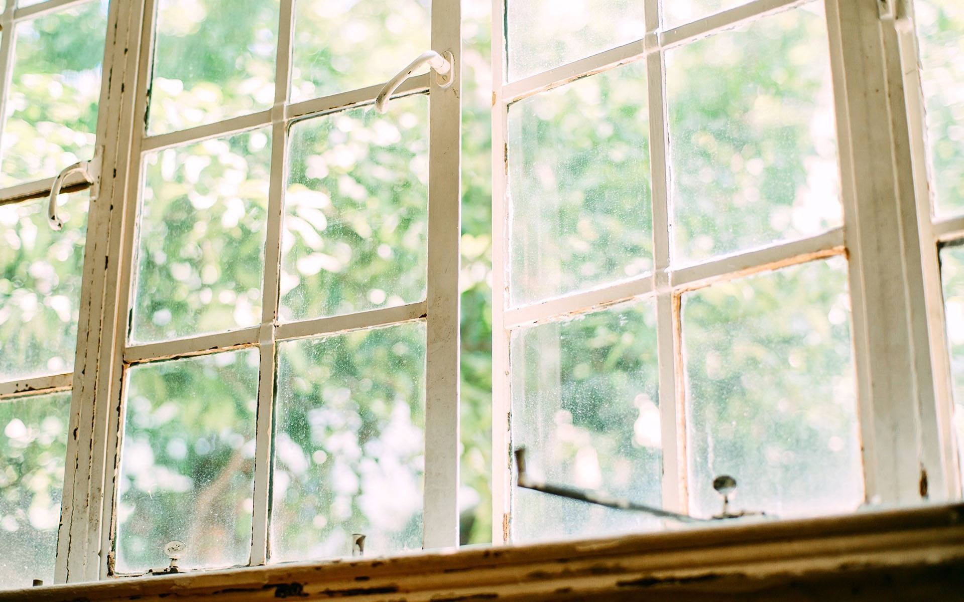 静物写真  小清新绿色风景