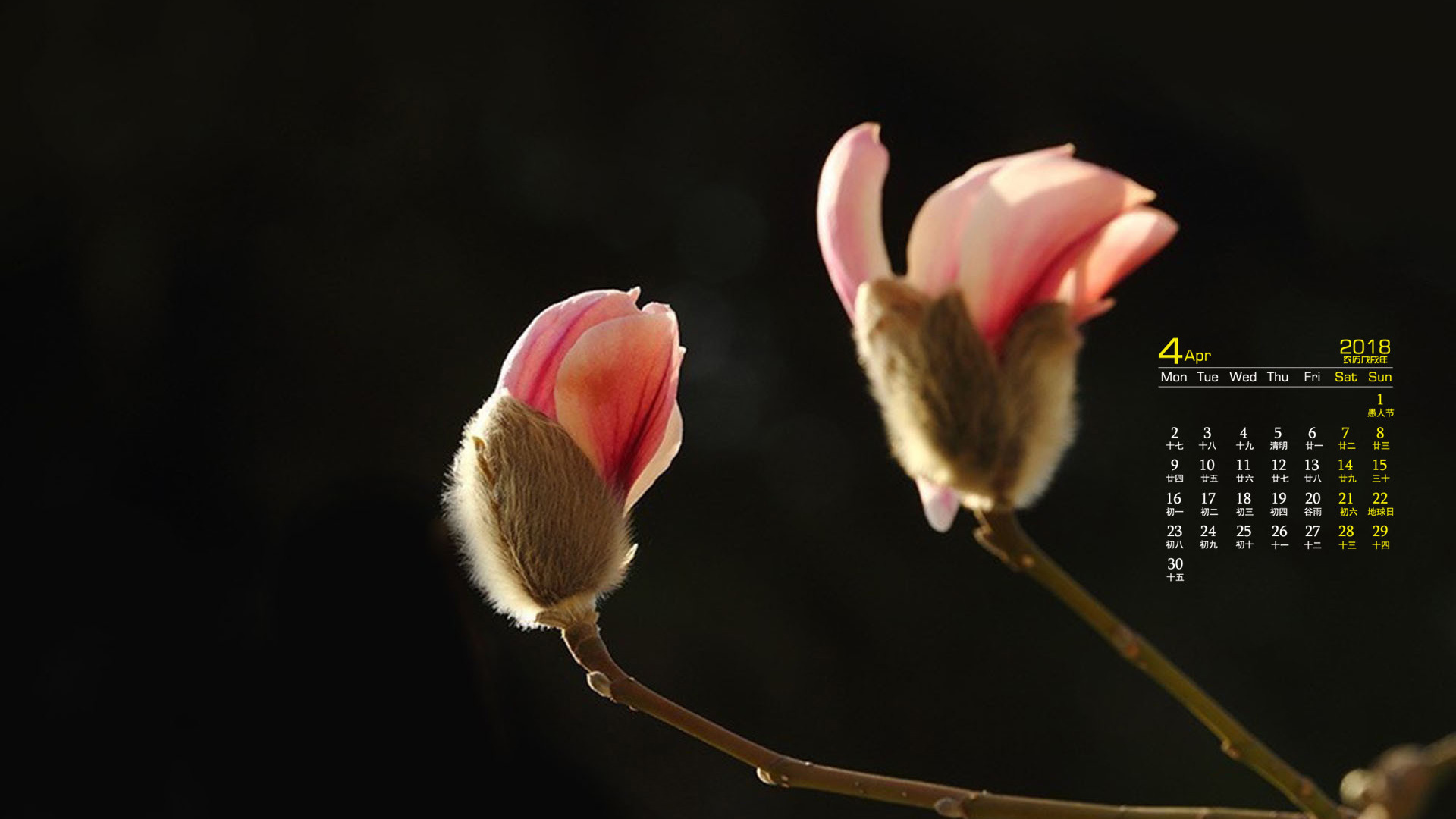 月历 2018年4月