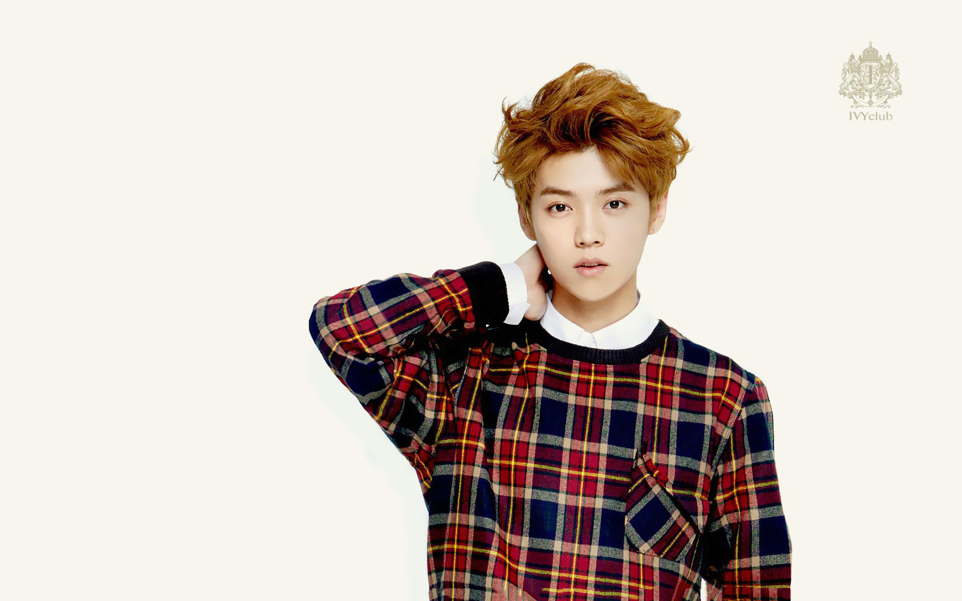 鹿晗 歌手 小鲜肉