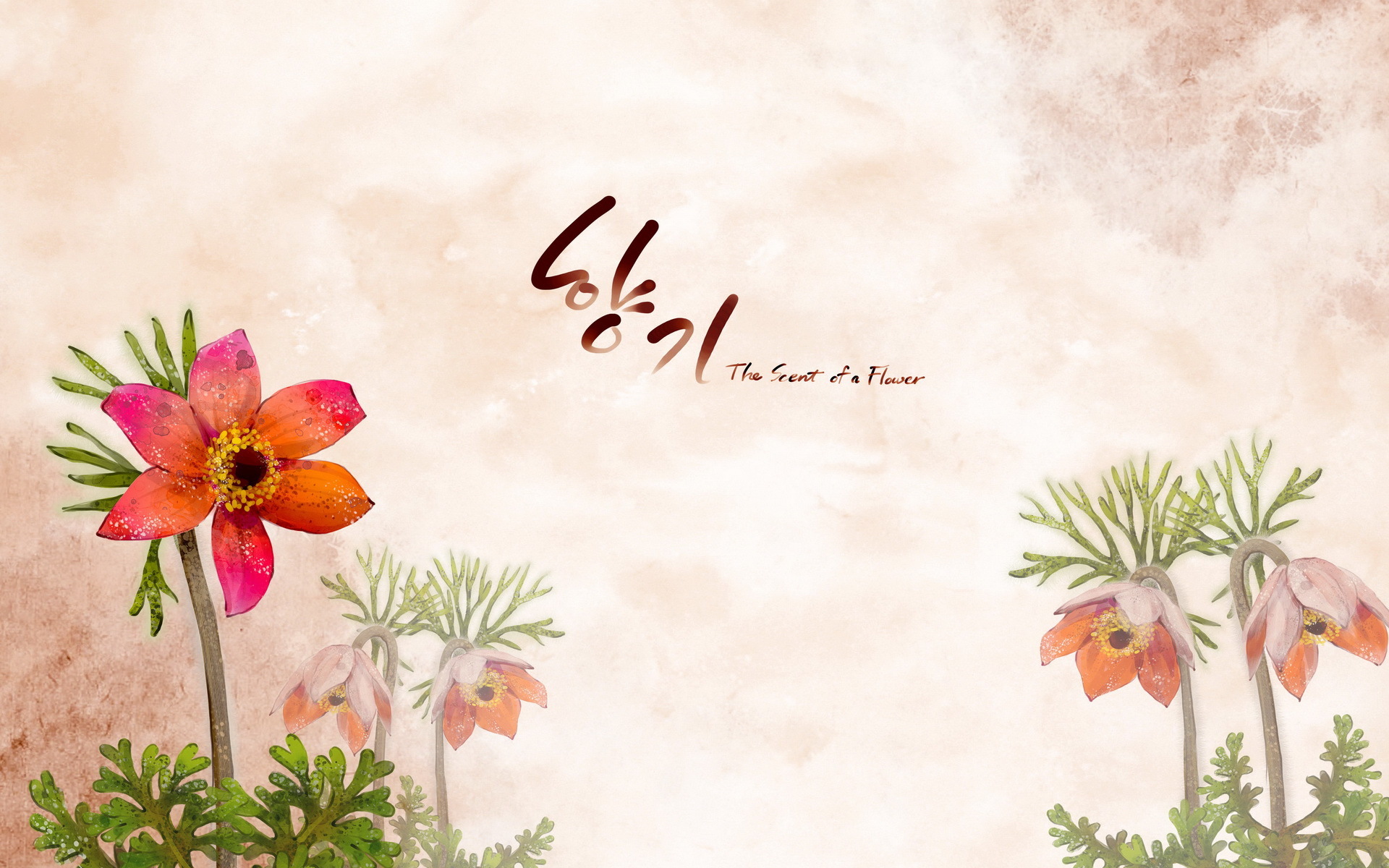 小清新  浪漫   简约  花卉   宽屏