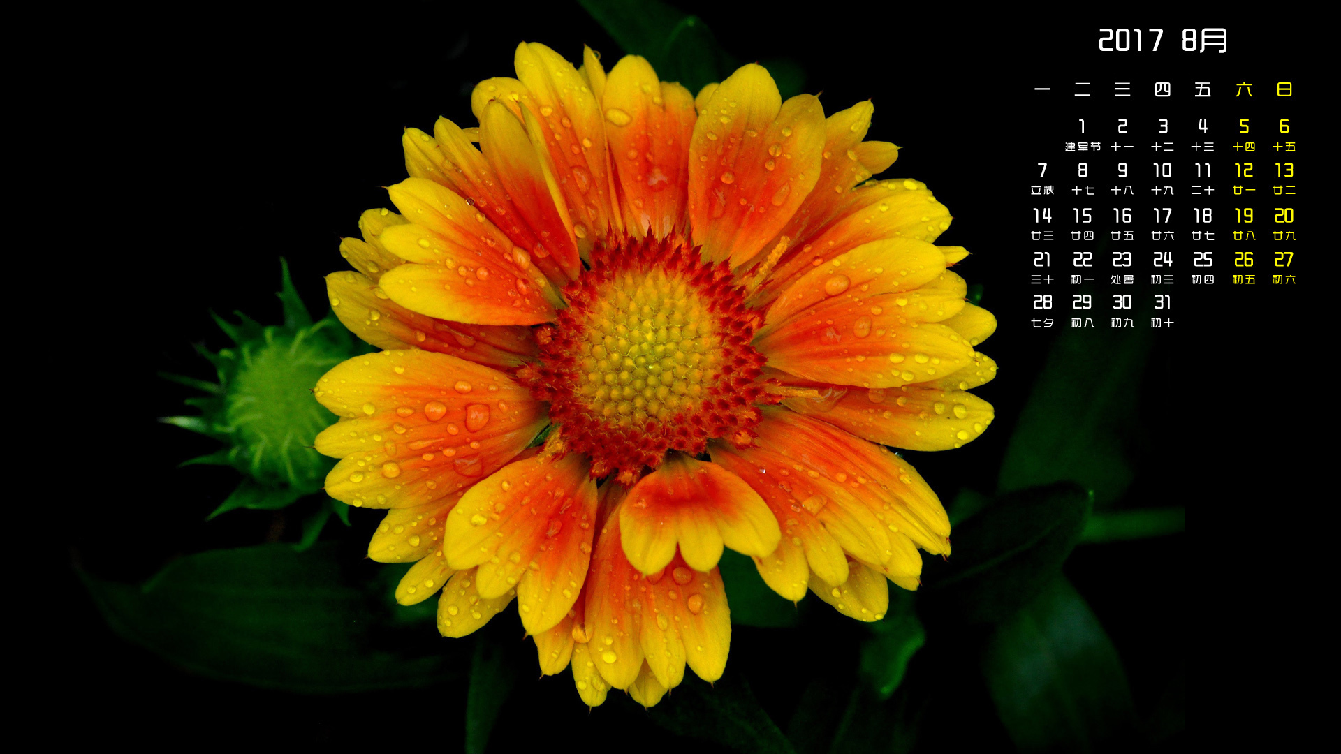 月历 2017年8月
