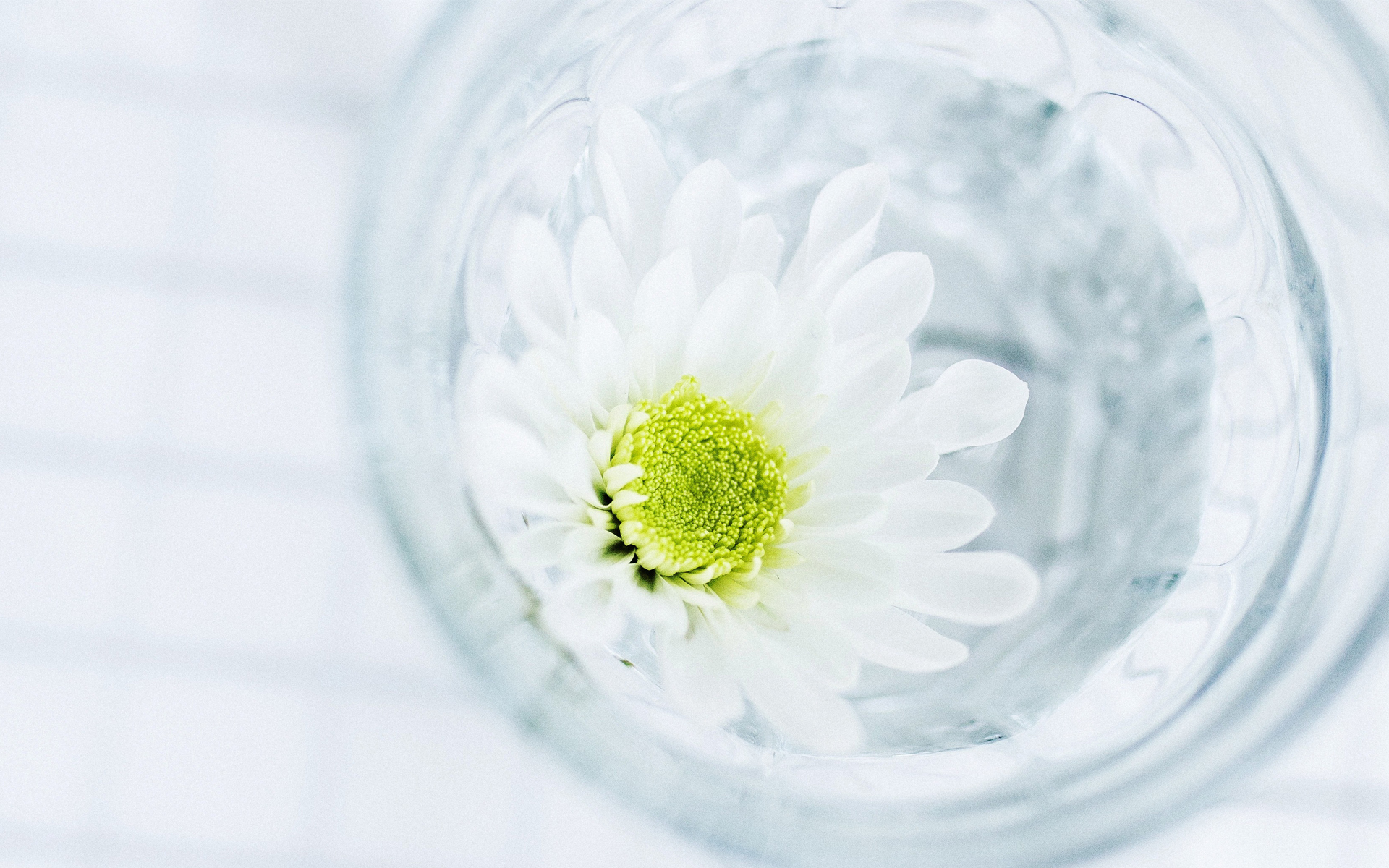 小清新 清新淡雅