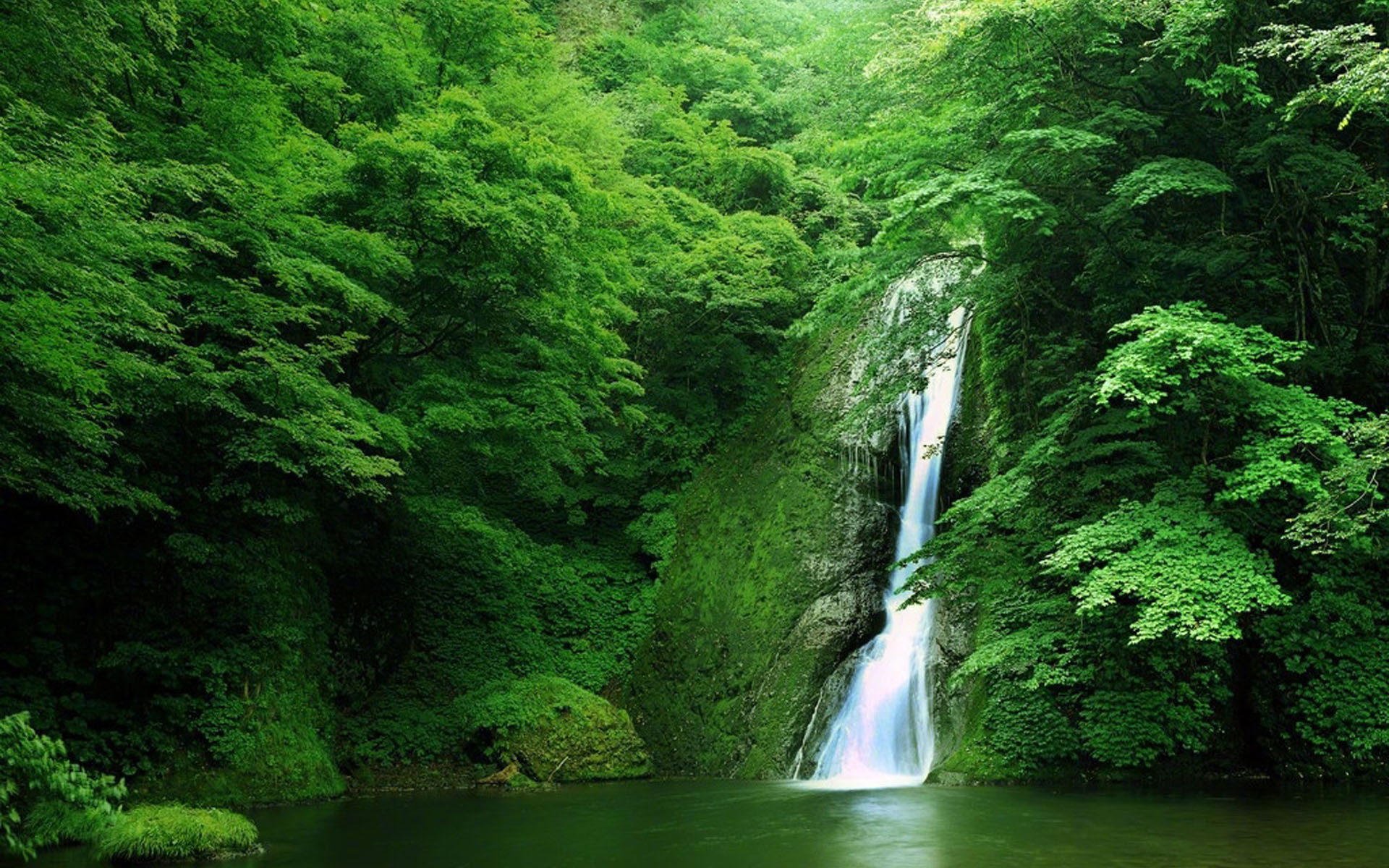 炎炎夏日  清澈流水 凉爽  河流