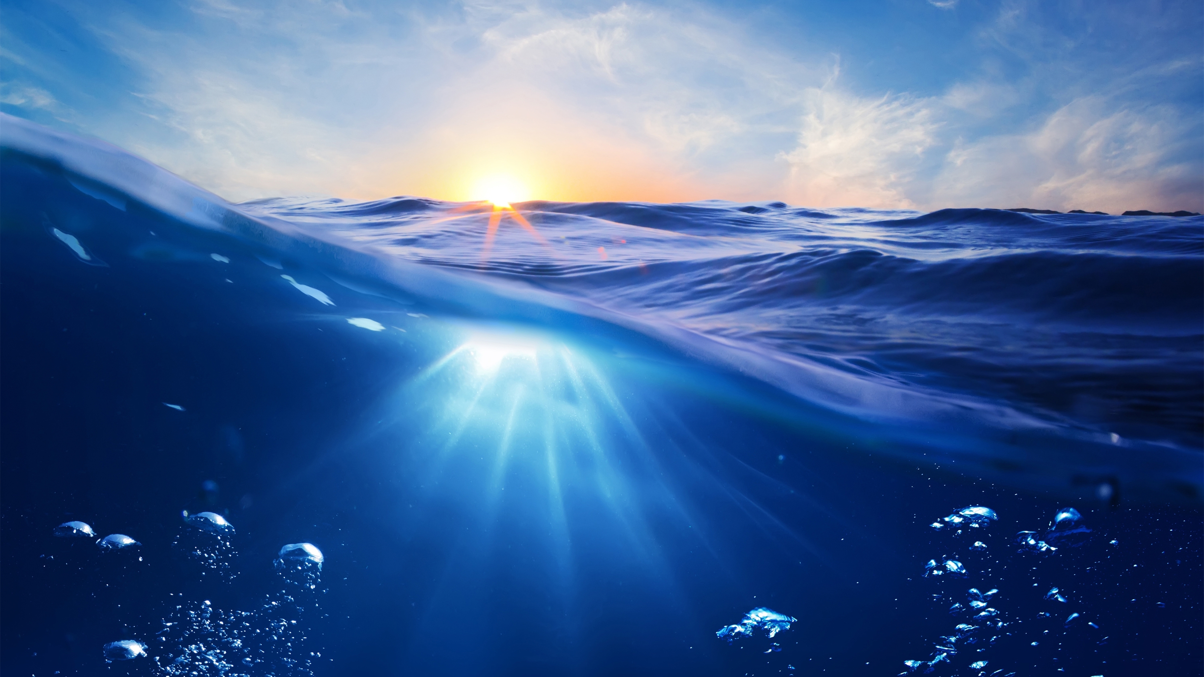 海洋天堂 海中