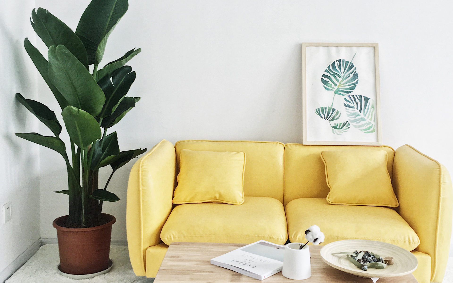 小清新 沙发 日系