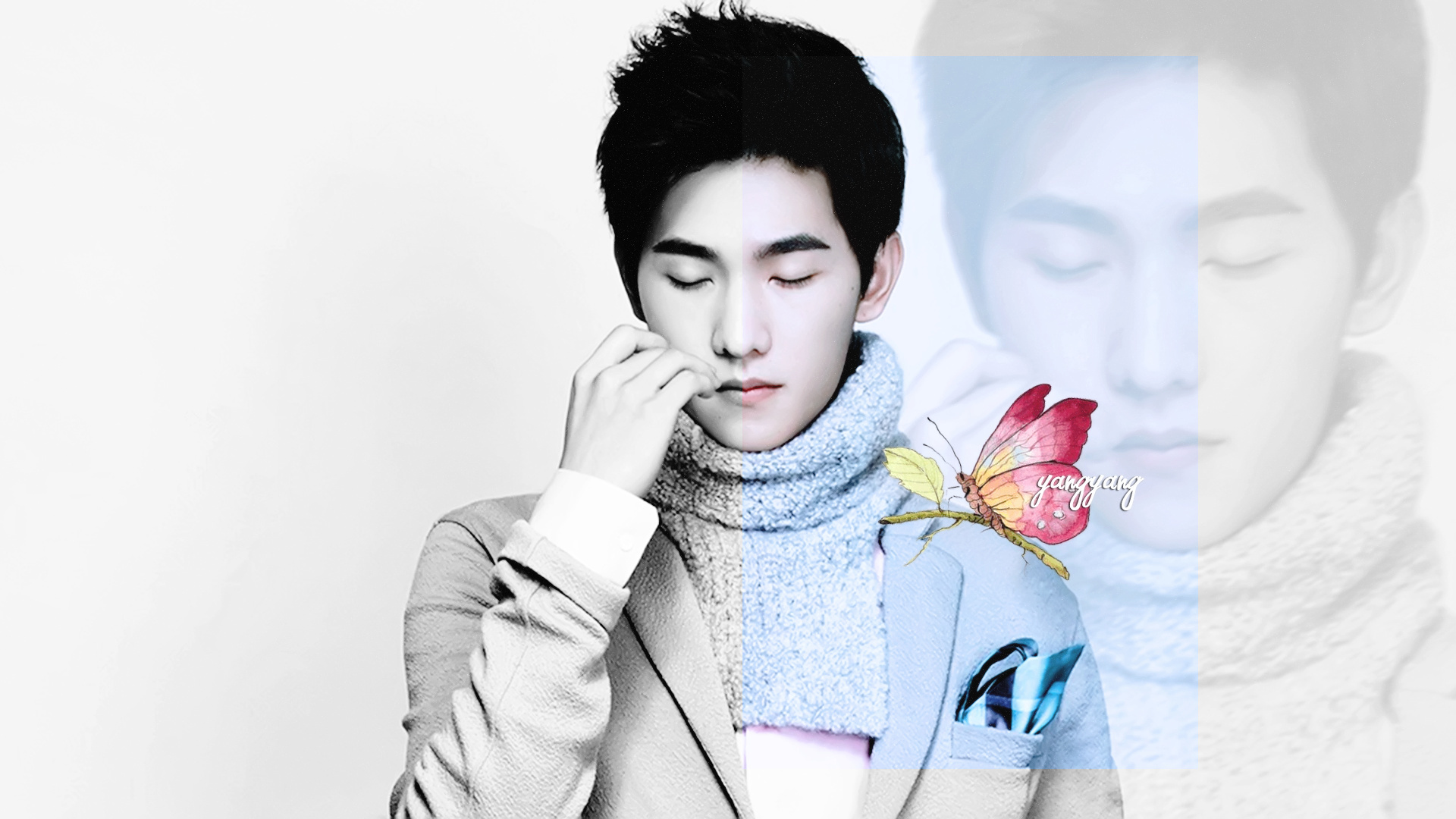 杨洋 明星 帅哥 宽屏 小鲜肉