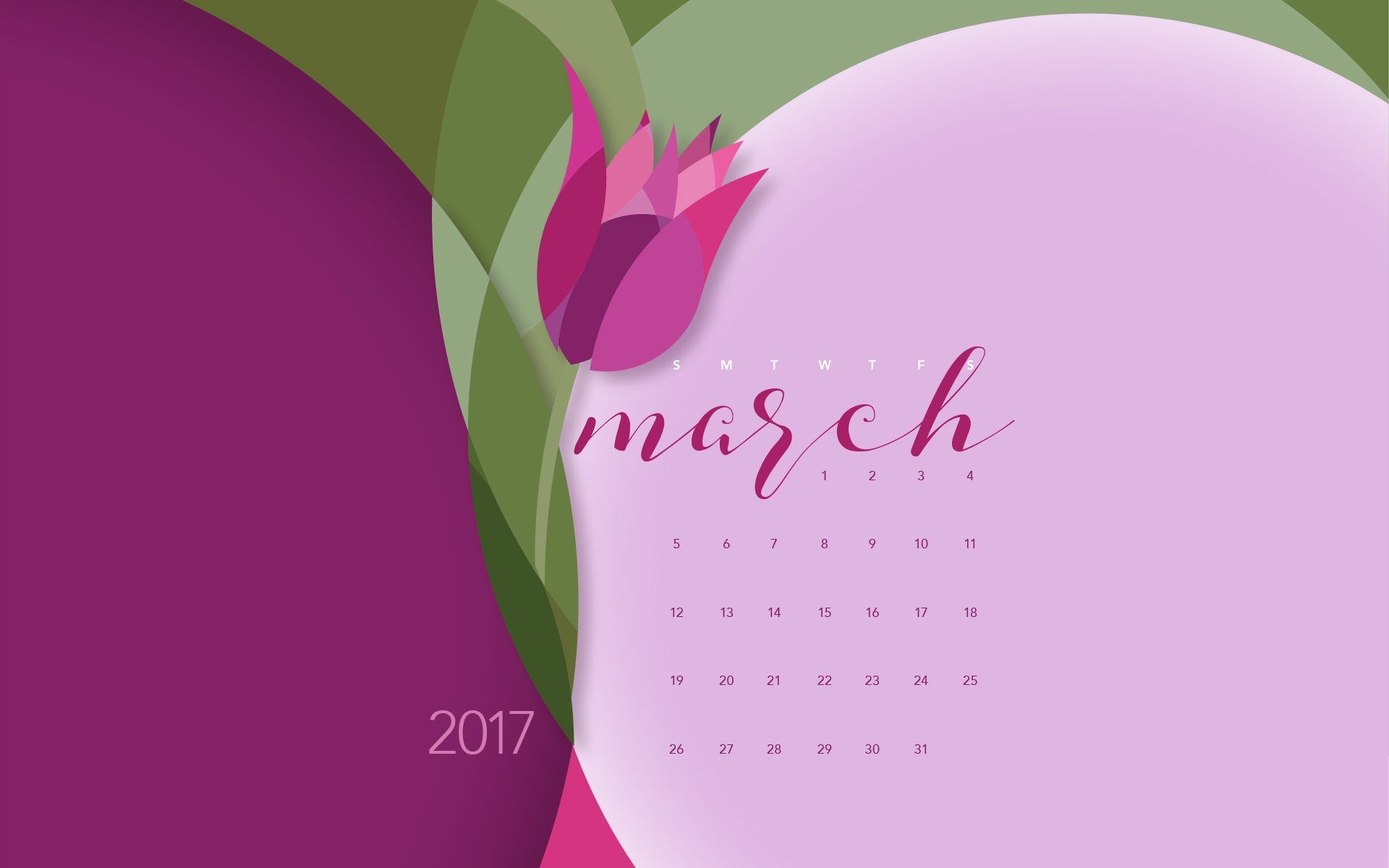 2017年3月 玫瑰花