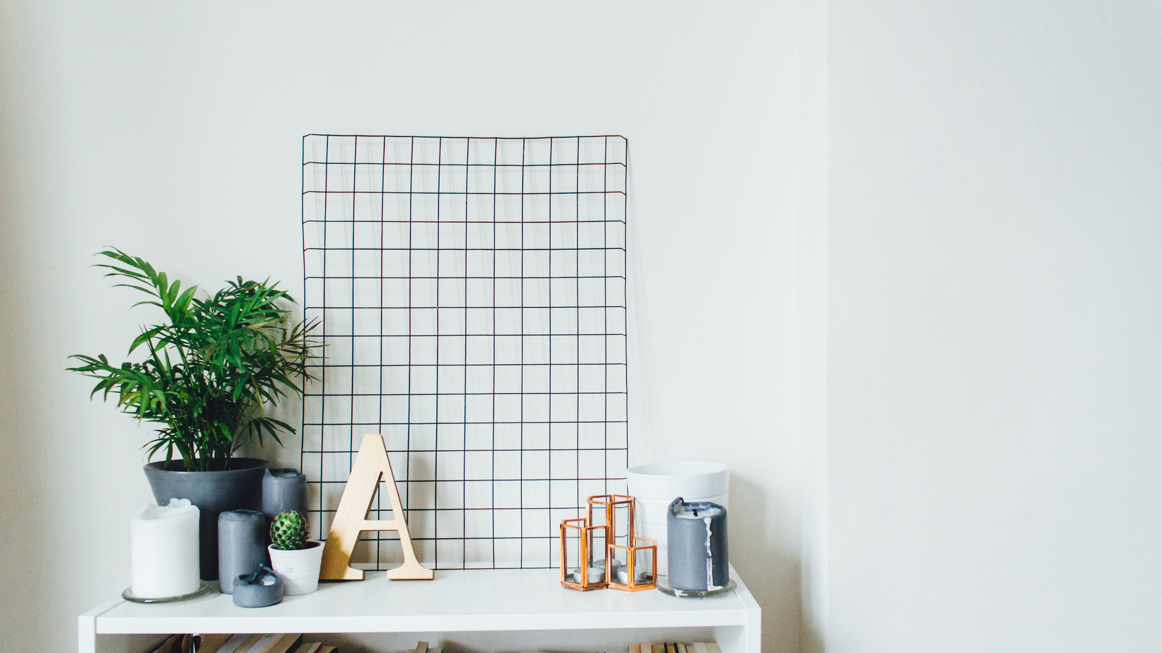 小清新 静物写真