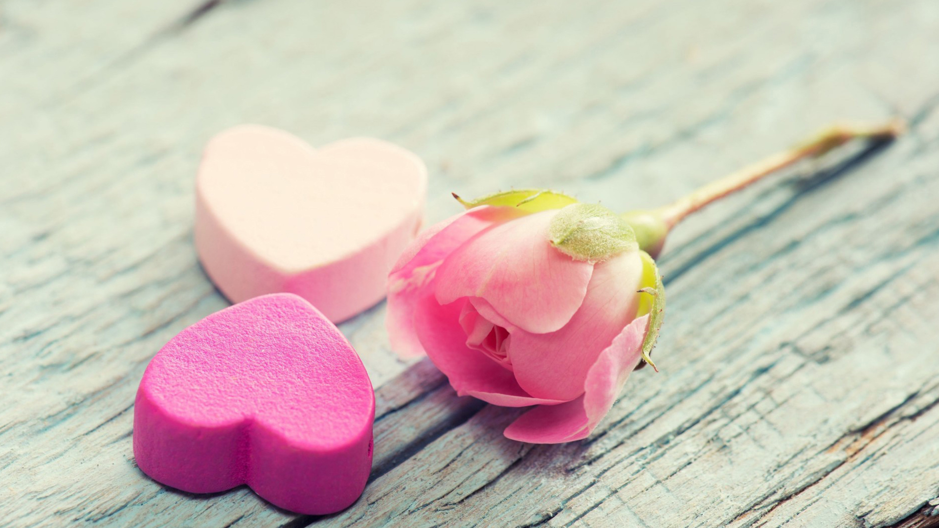 静物写真  美好爱情