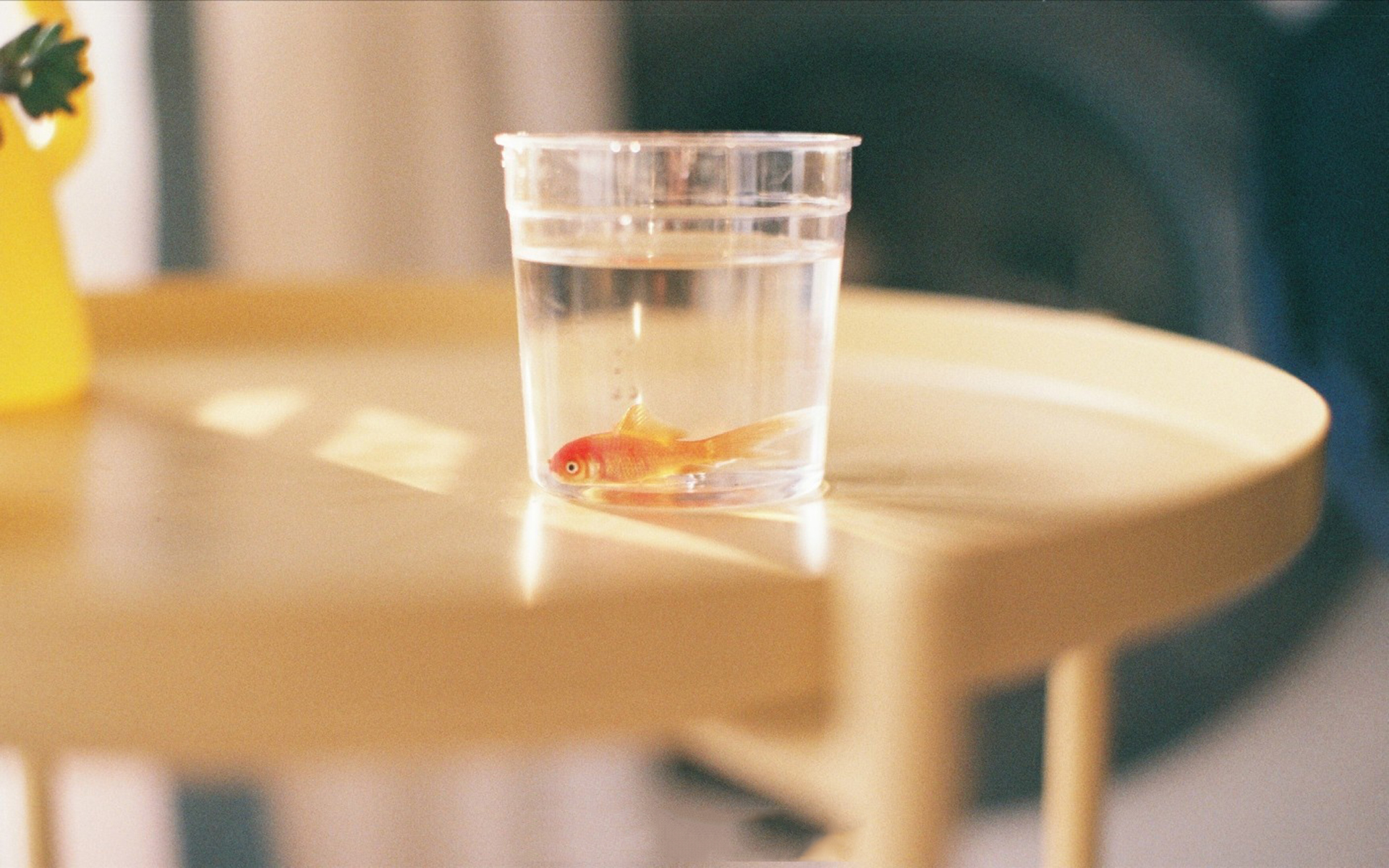 小清新 温馨一刻