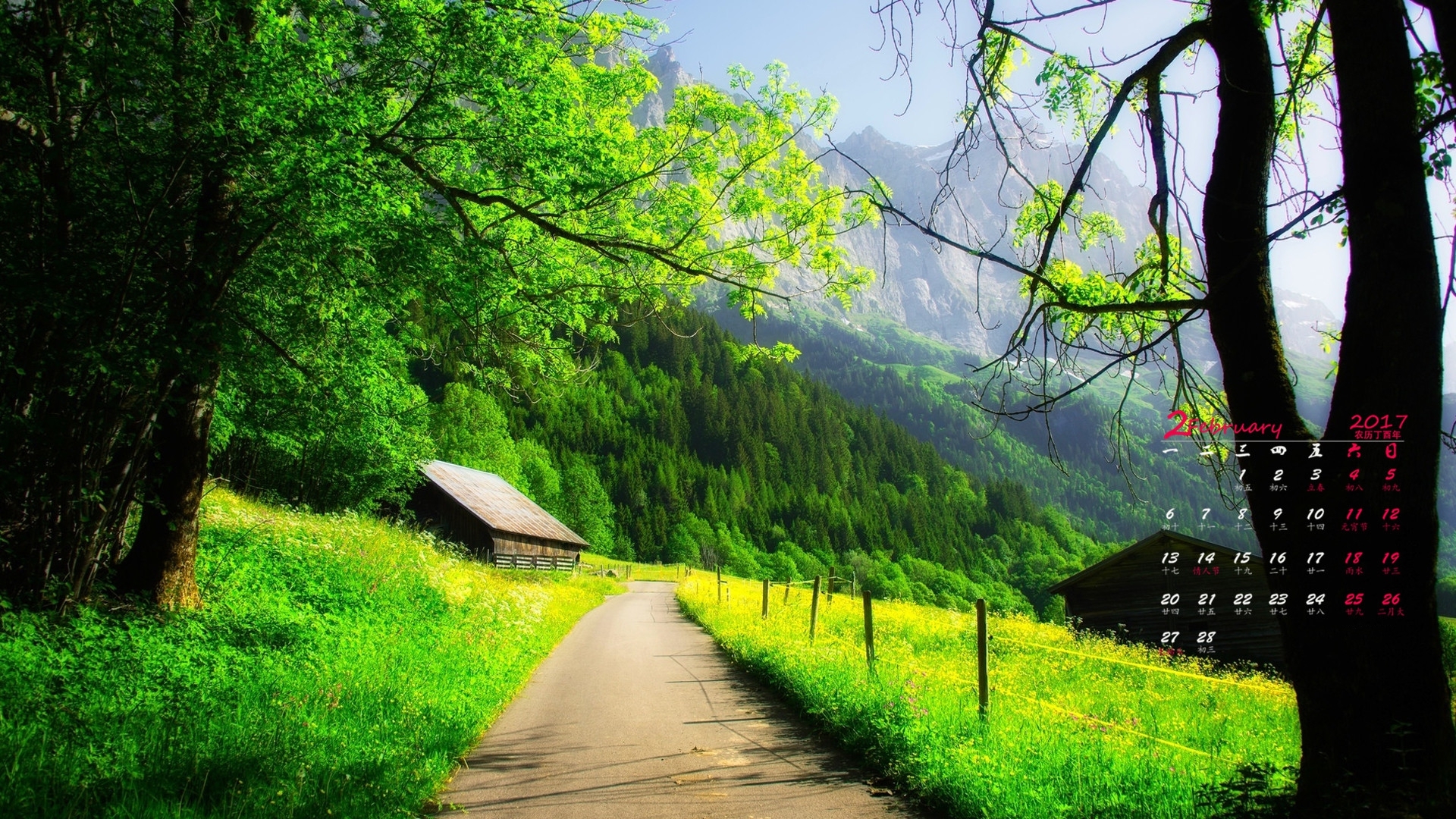 2月 森林 绿色 护眼