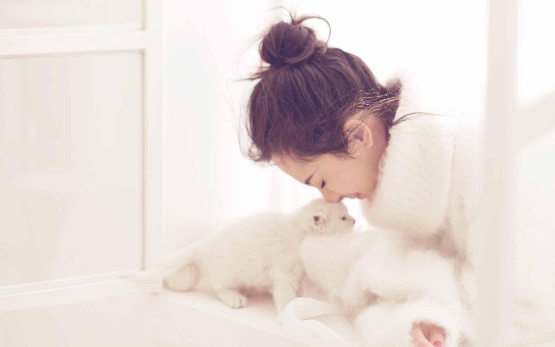 杨幂 写真 冬日 猫咪