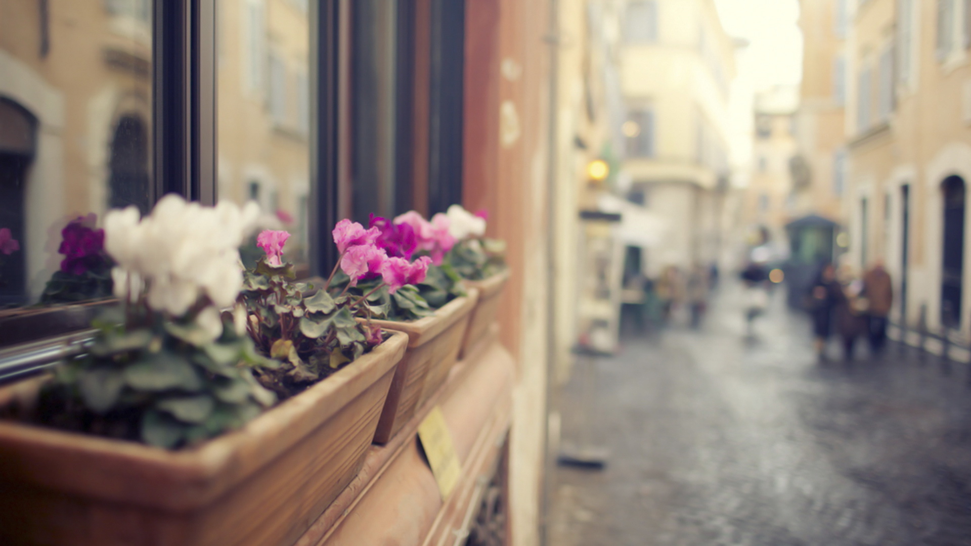 小清新 意境 摄影 儿童桌面专用