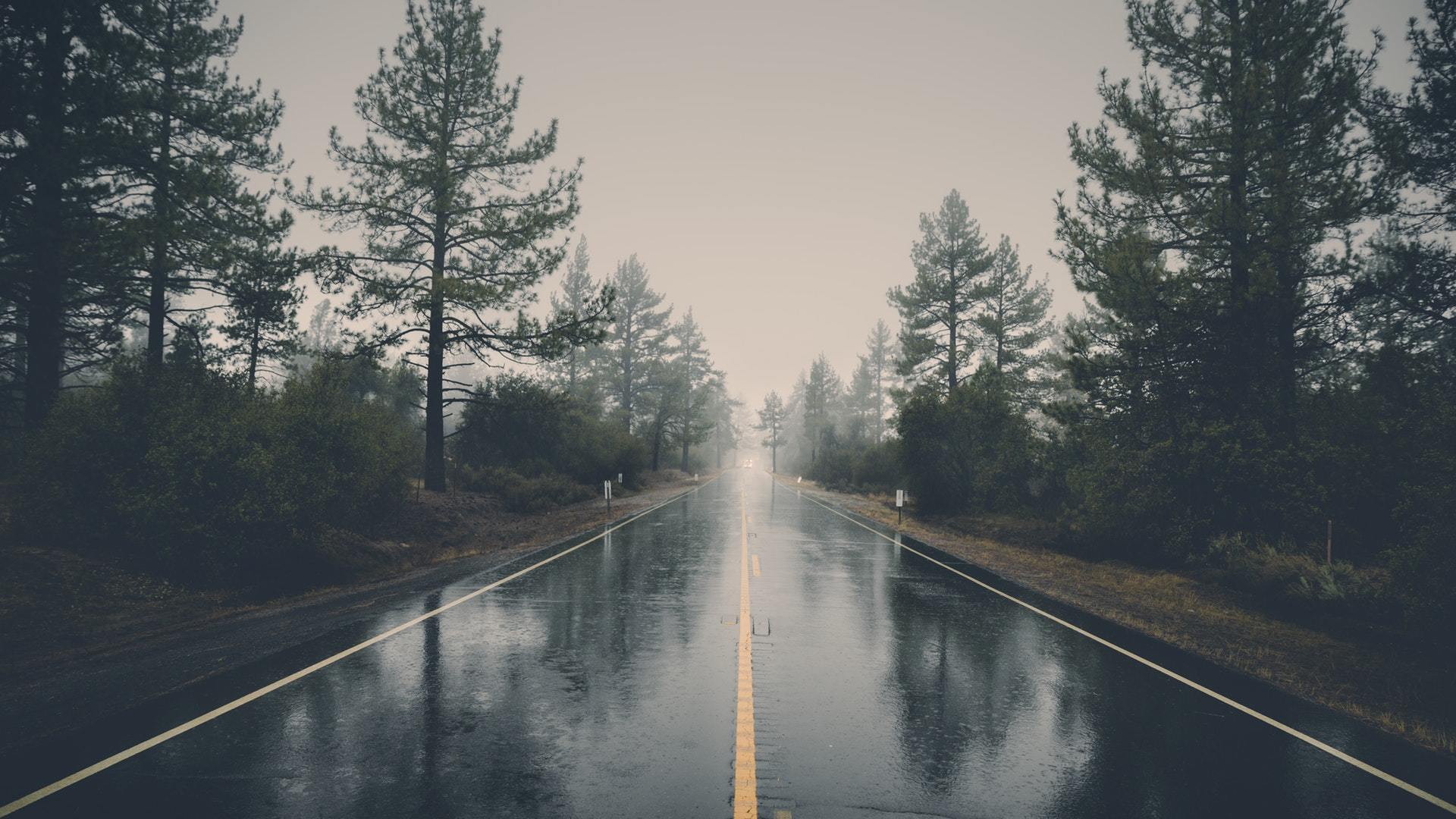 风景 自然风光 道路 公路