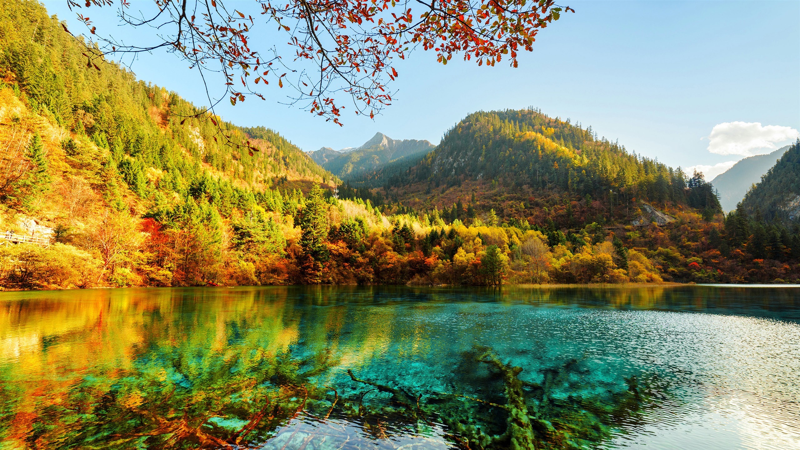 风景 2K 旅游胜地 九寨沟 秋天 山区 湖泊