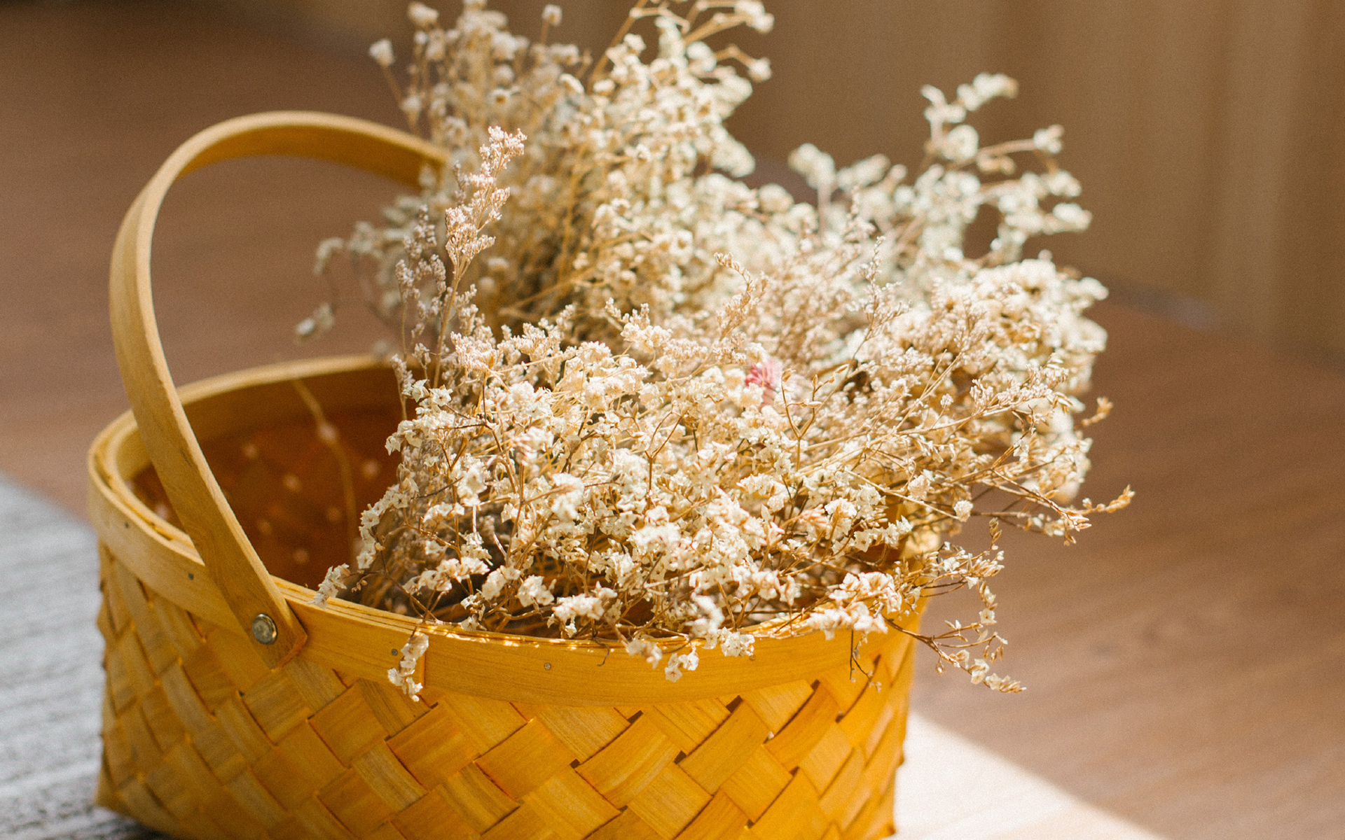 静物写真  文艺小清新