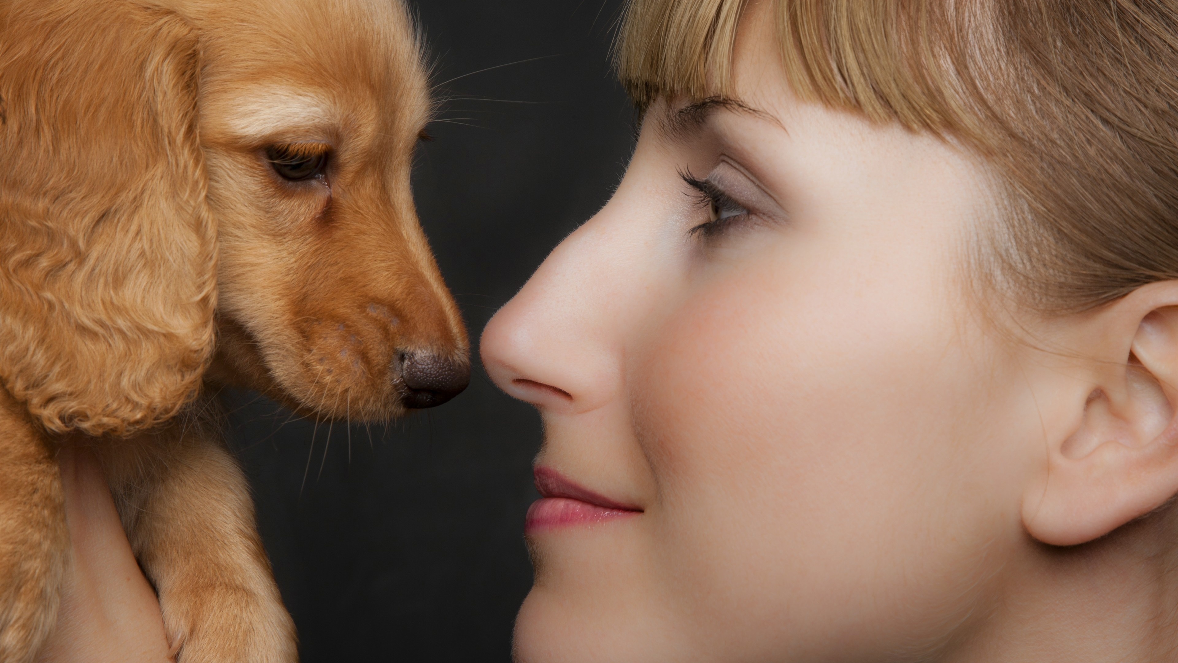 汪星人 狗狗 美女