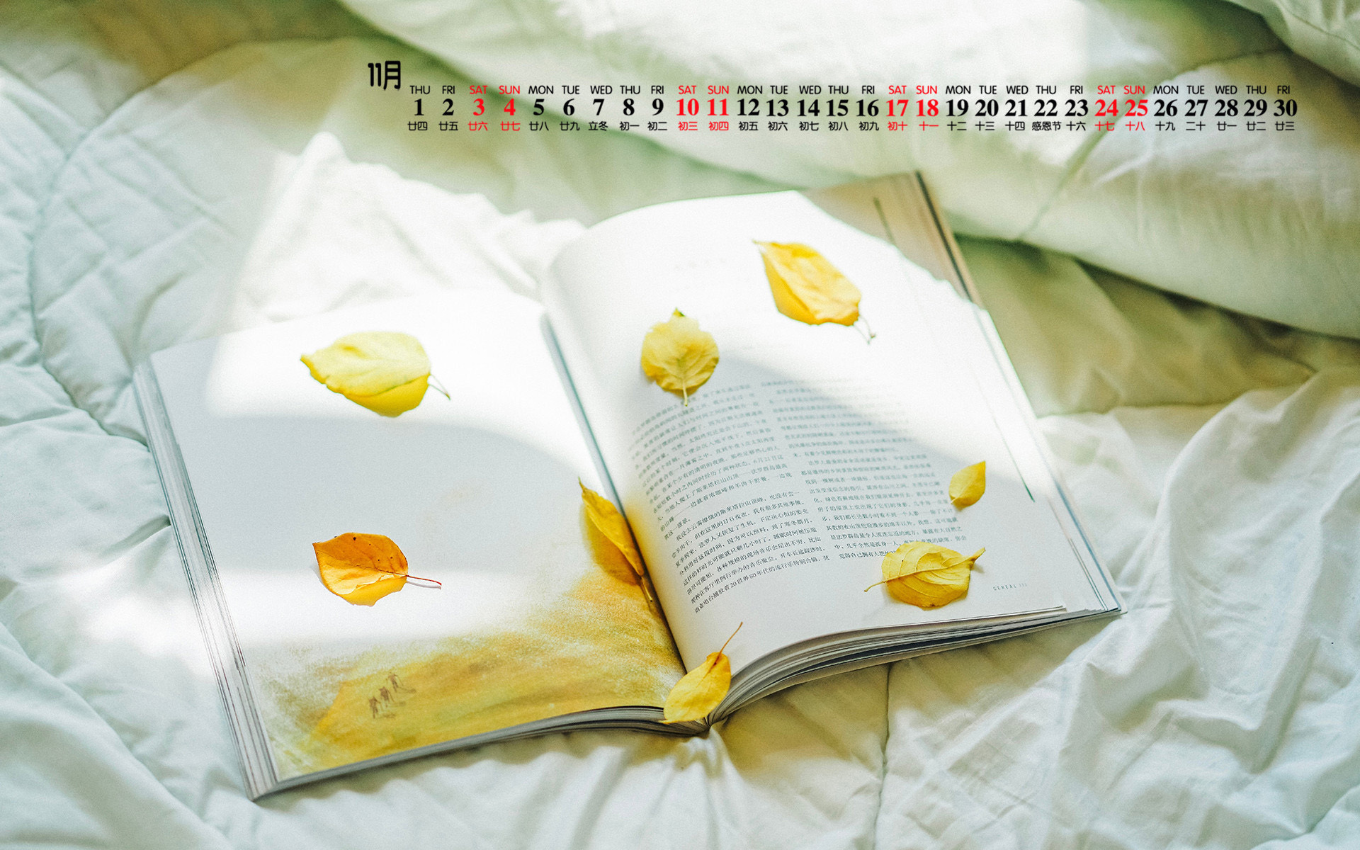月历壁纸  11月  2018年