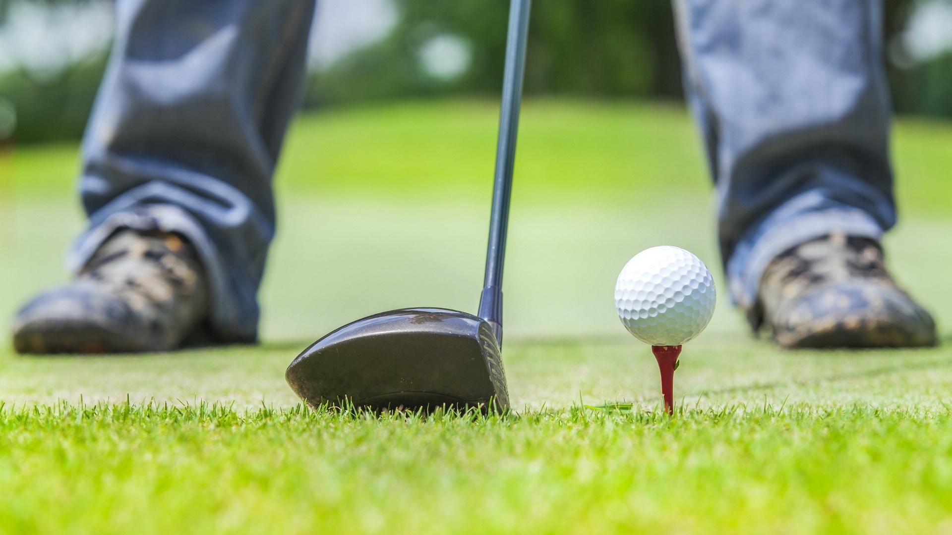 高尔夫球 草地