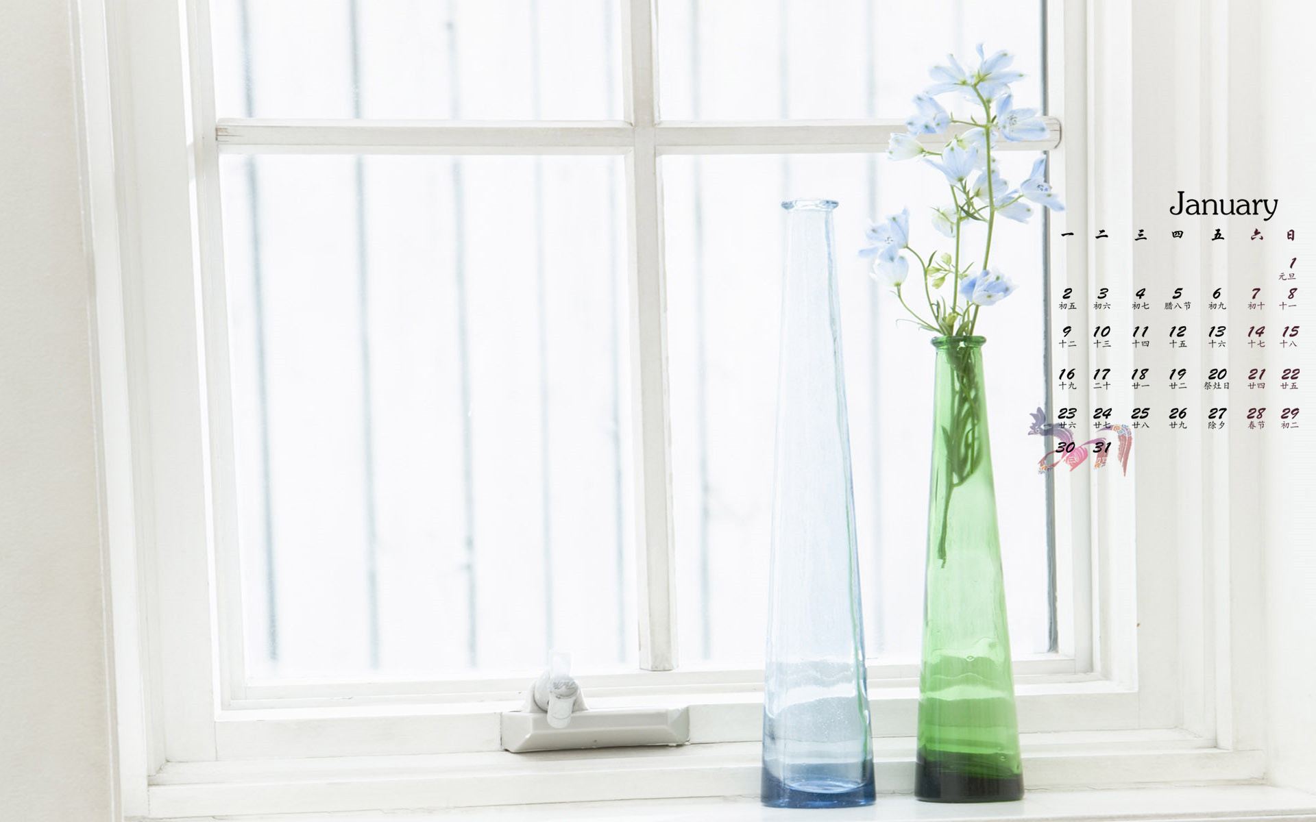 1月 小清新 花瓶 鲜花