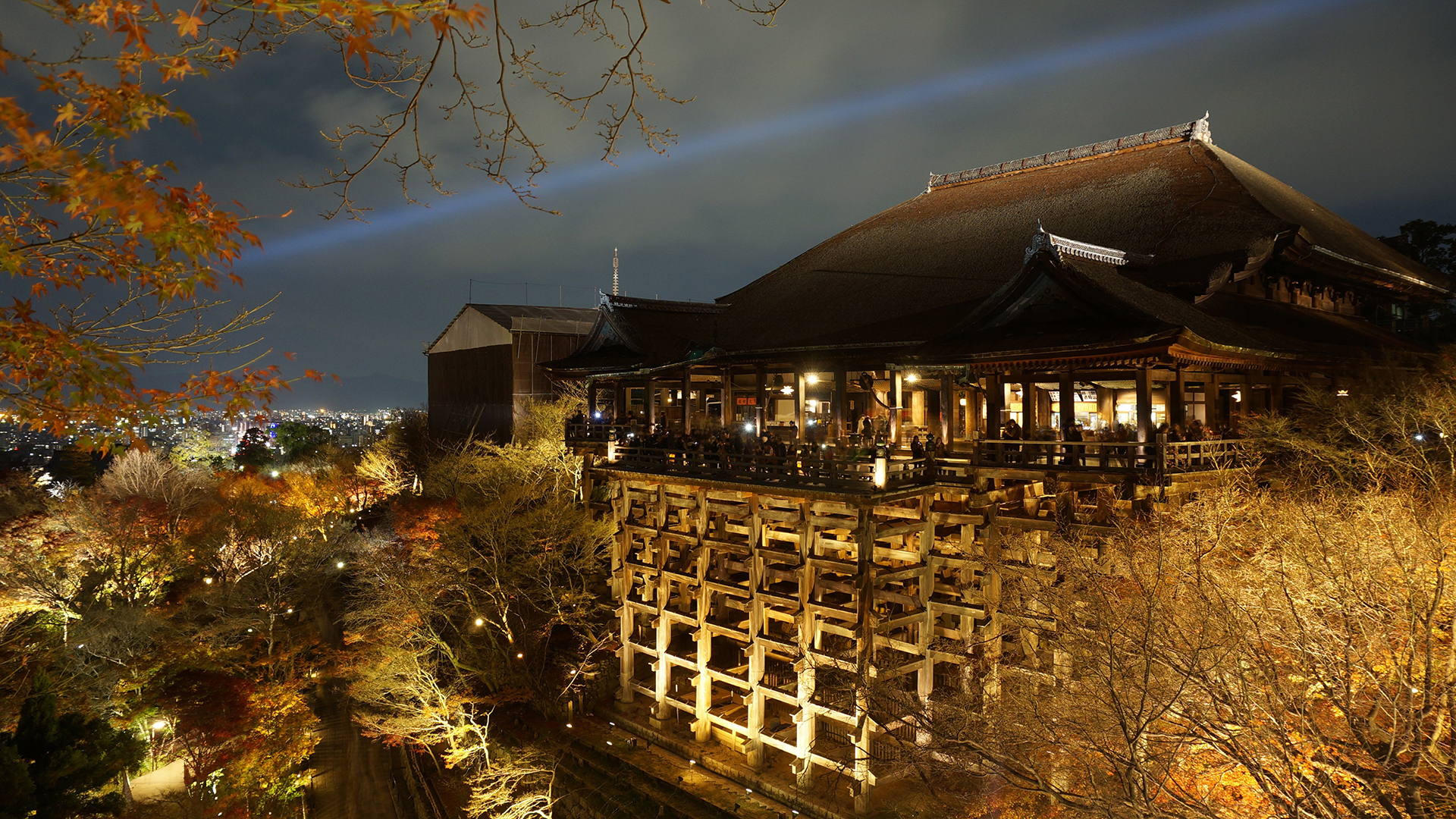 城市夜景  日本大阪  城市   建筑