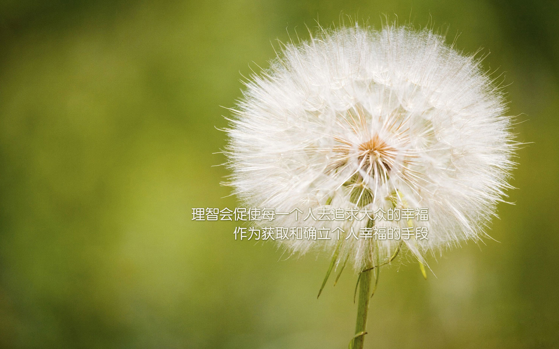 文字控  理智的去追求幸福