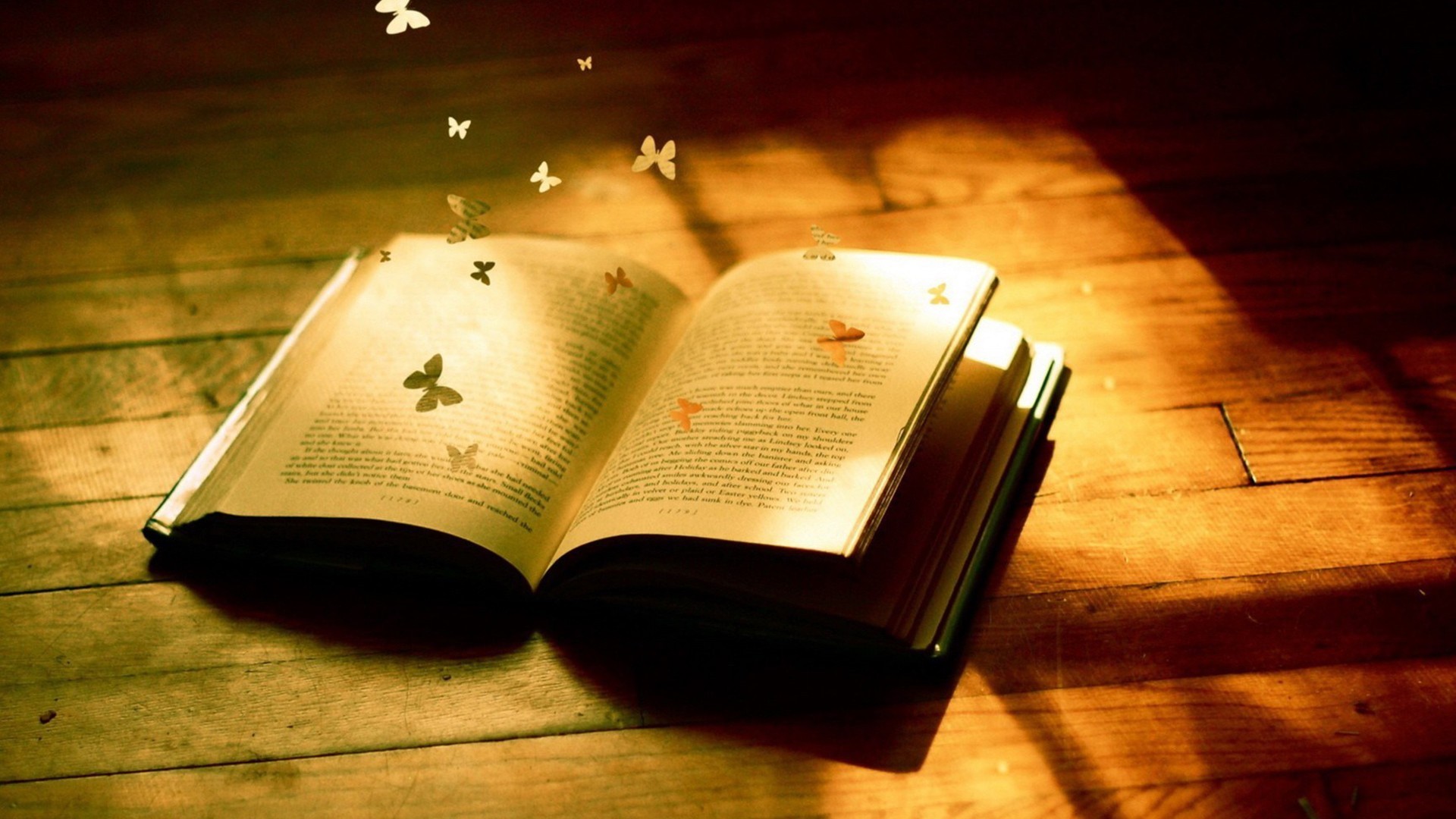 小清新 静物写真 书籍 书本