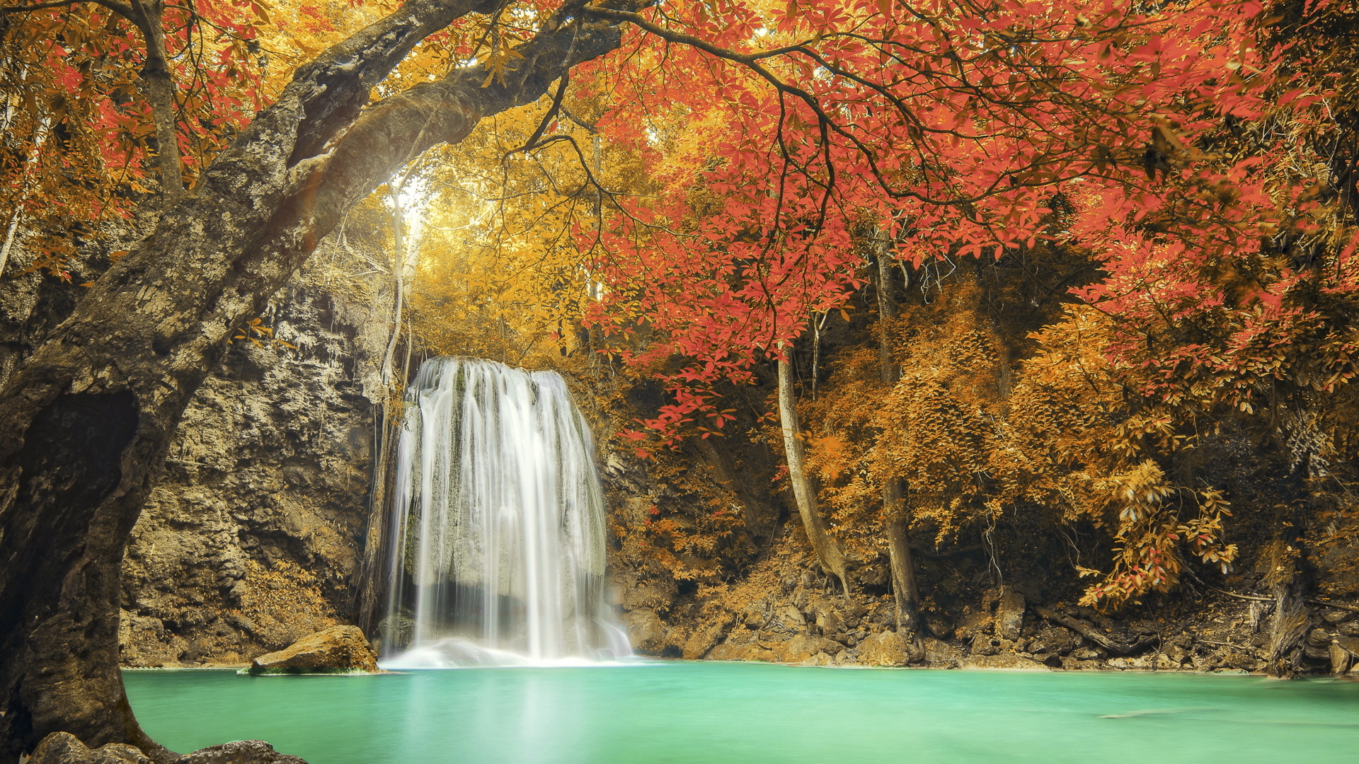 美景 瀑布 绿水 九寨沟 枫叶