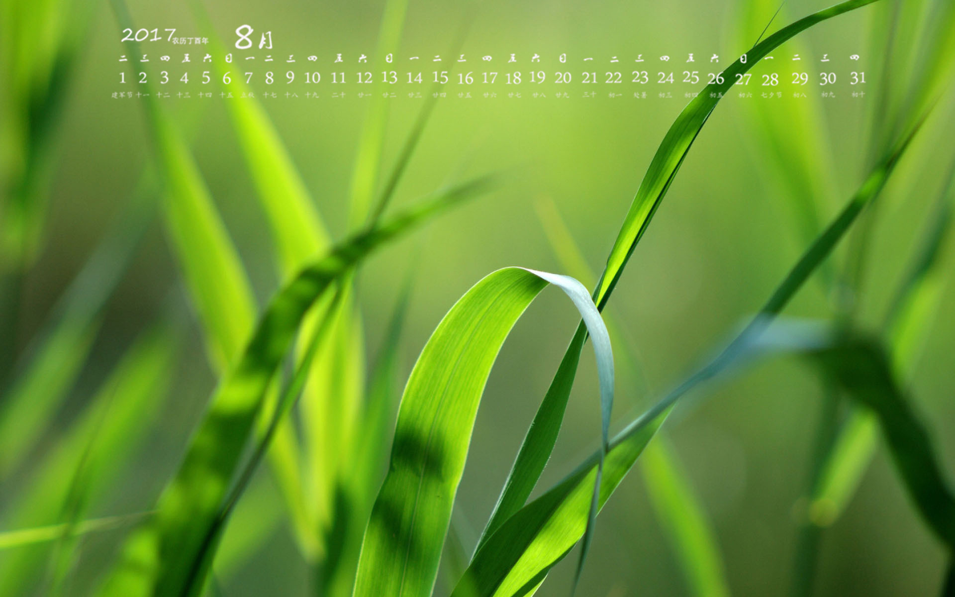 月历 2017年8月