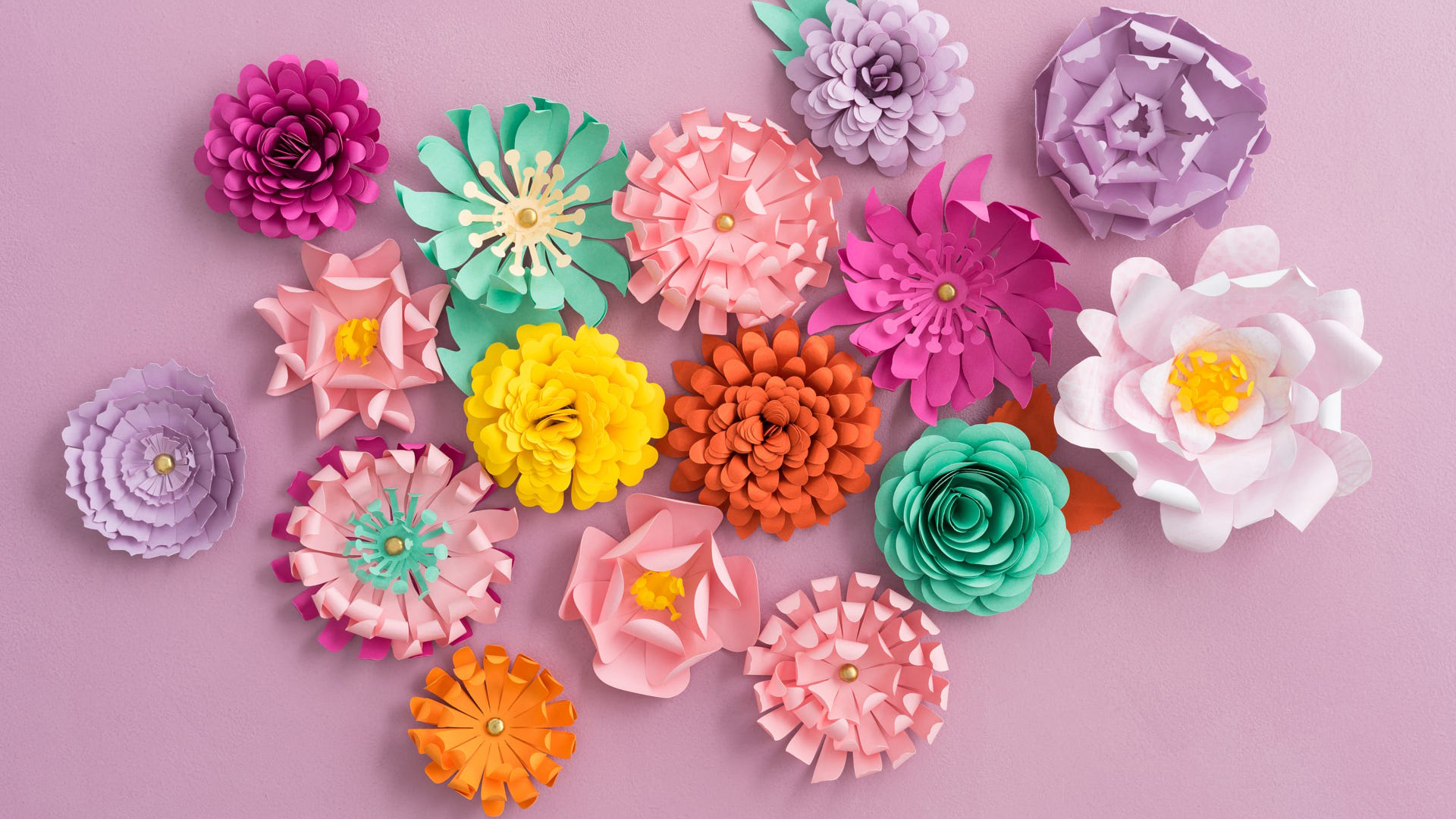 小清新 色彩 花朵