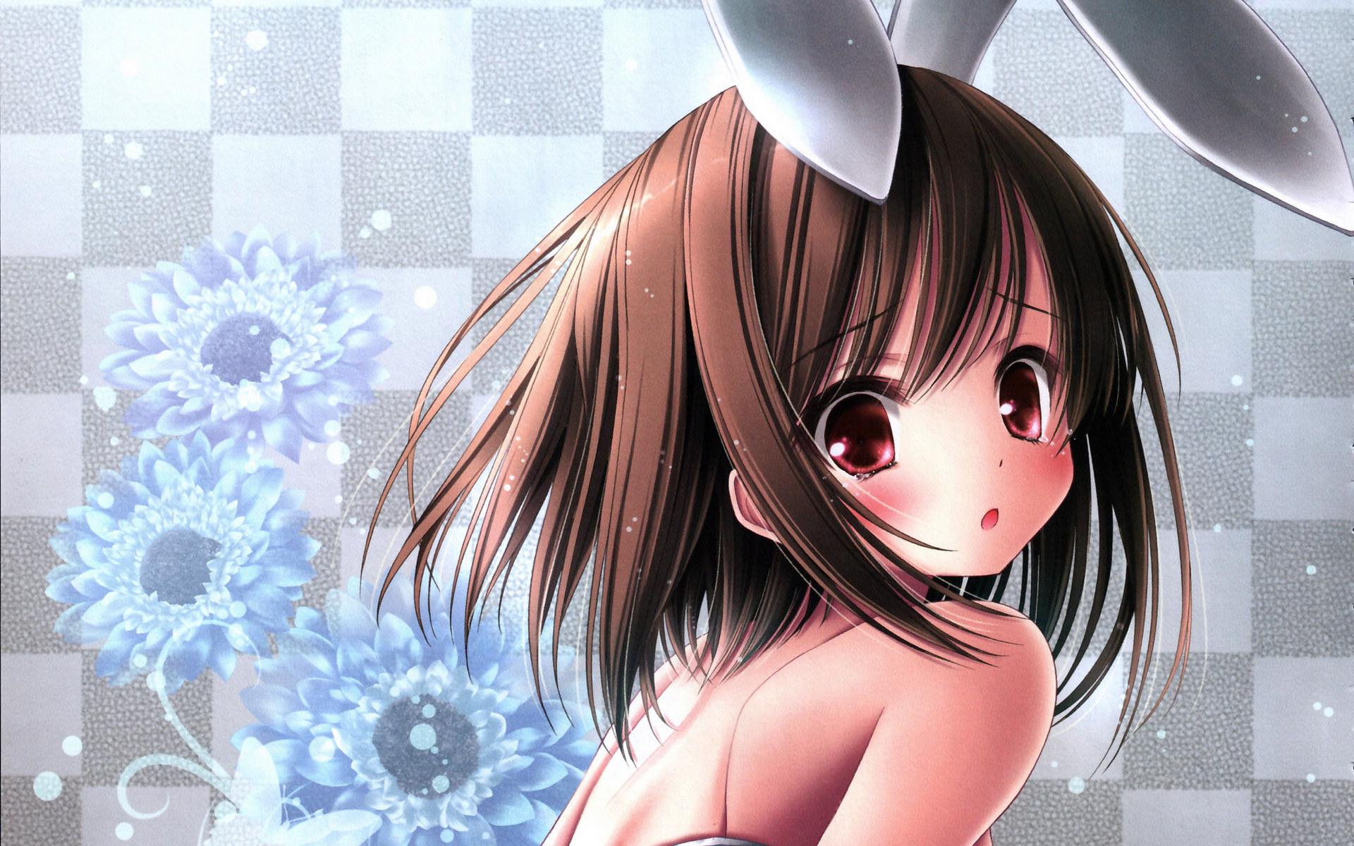 动漫  萌妹子  小萝莉  呆萌可爱   宽屏