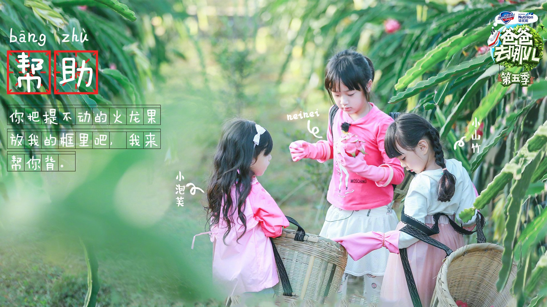 影视 电视剧 爸爸去哪儿5