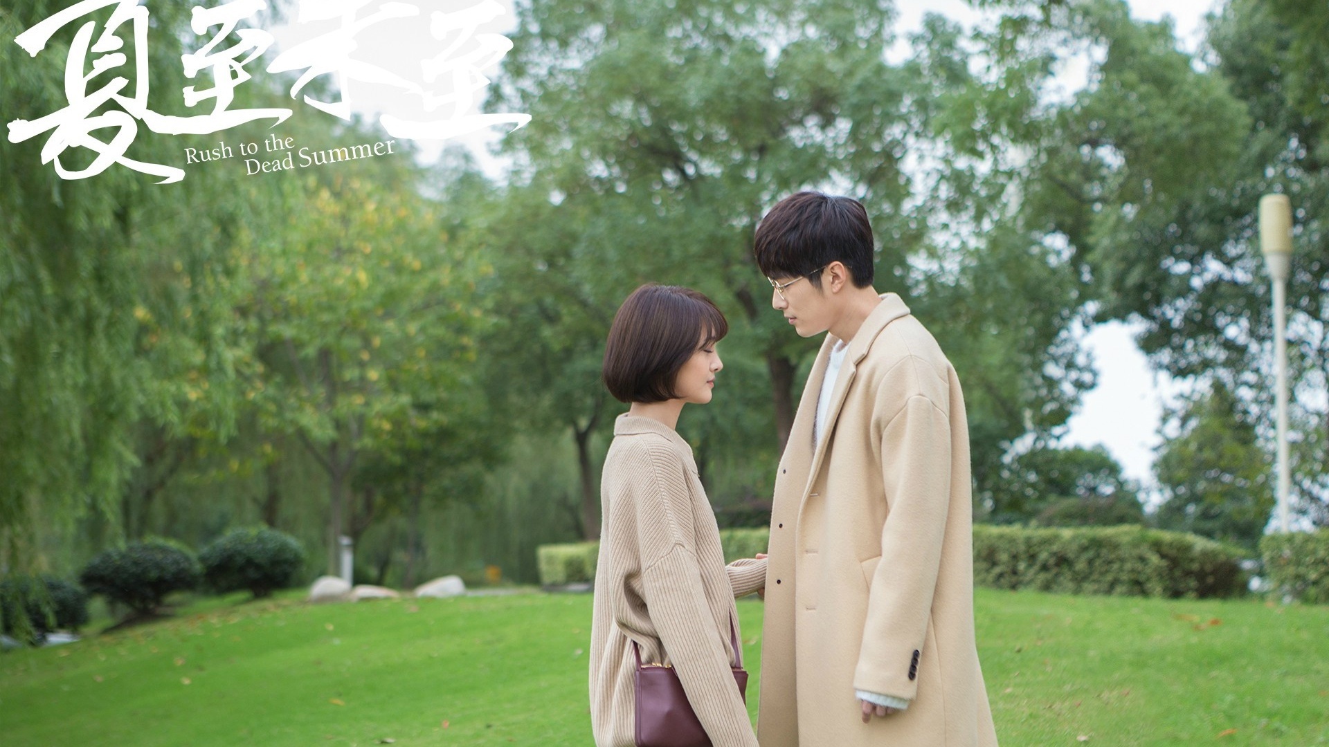 影视 电视剧 夏至未至 郑爽 陈学冬