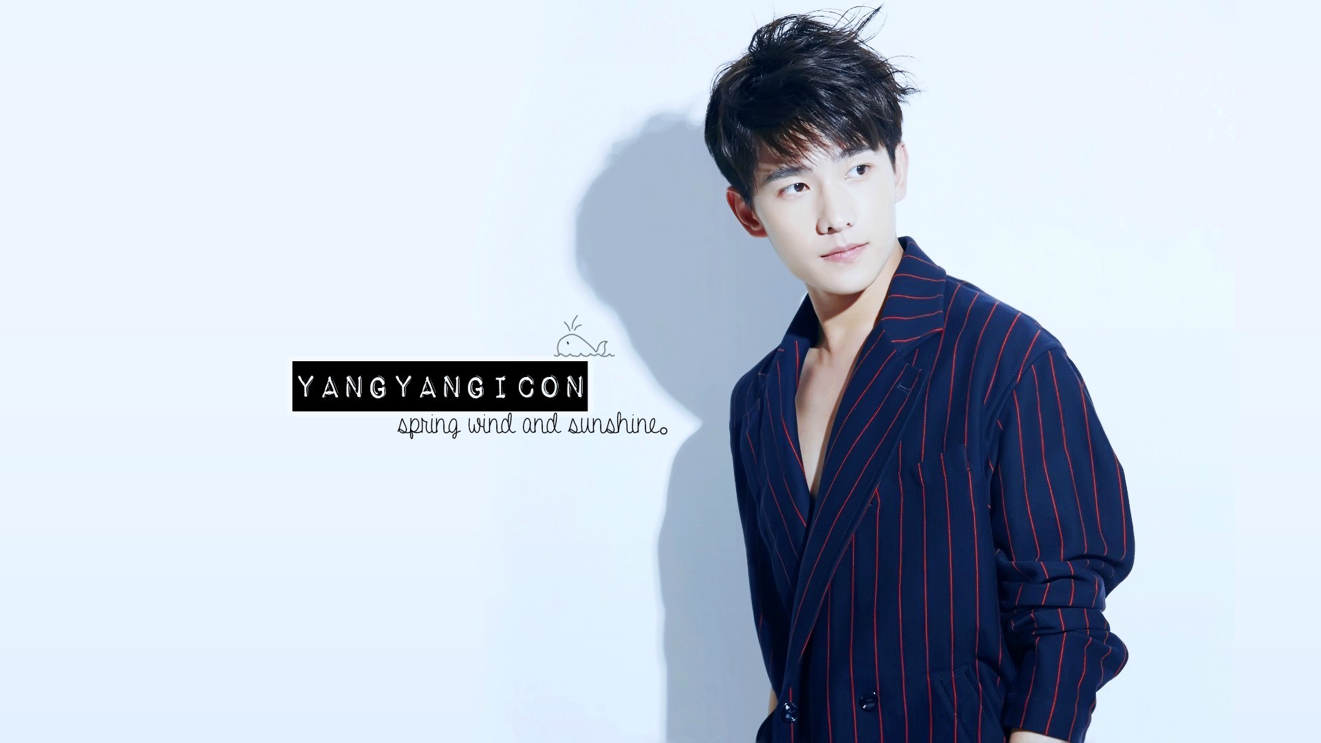 杨洋 明星 帅哥 宽屏 小鲜肉