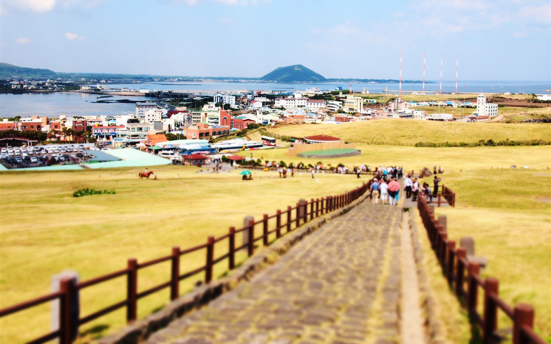 济州岛 木道 秋日风景
