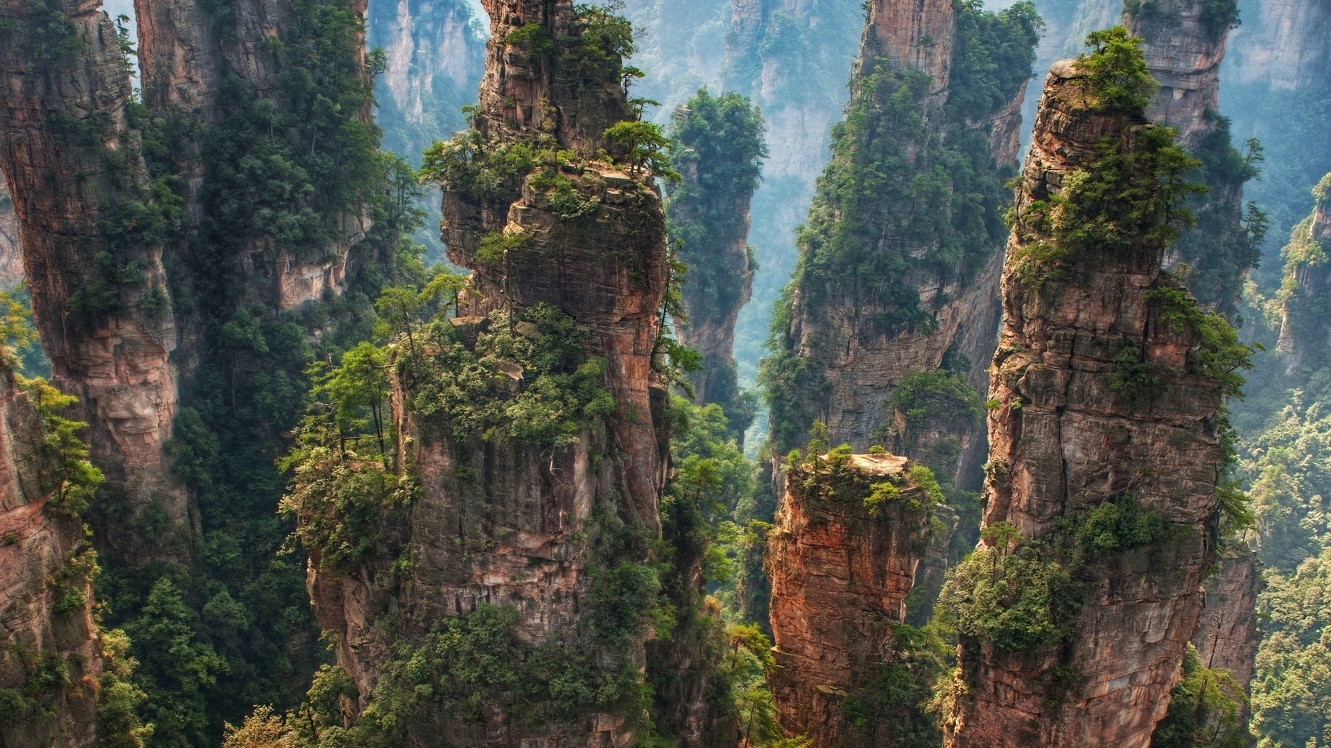 旅游胜地 奇石 张家界