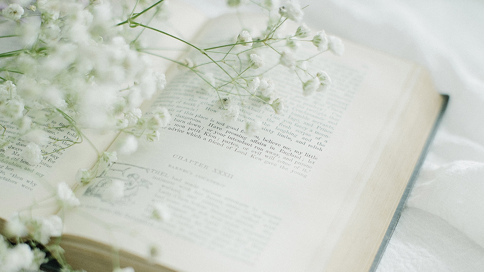 静物写真  书中自有满天星