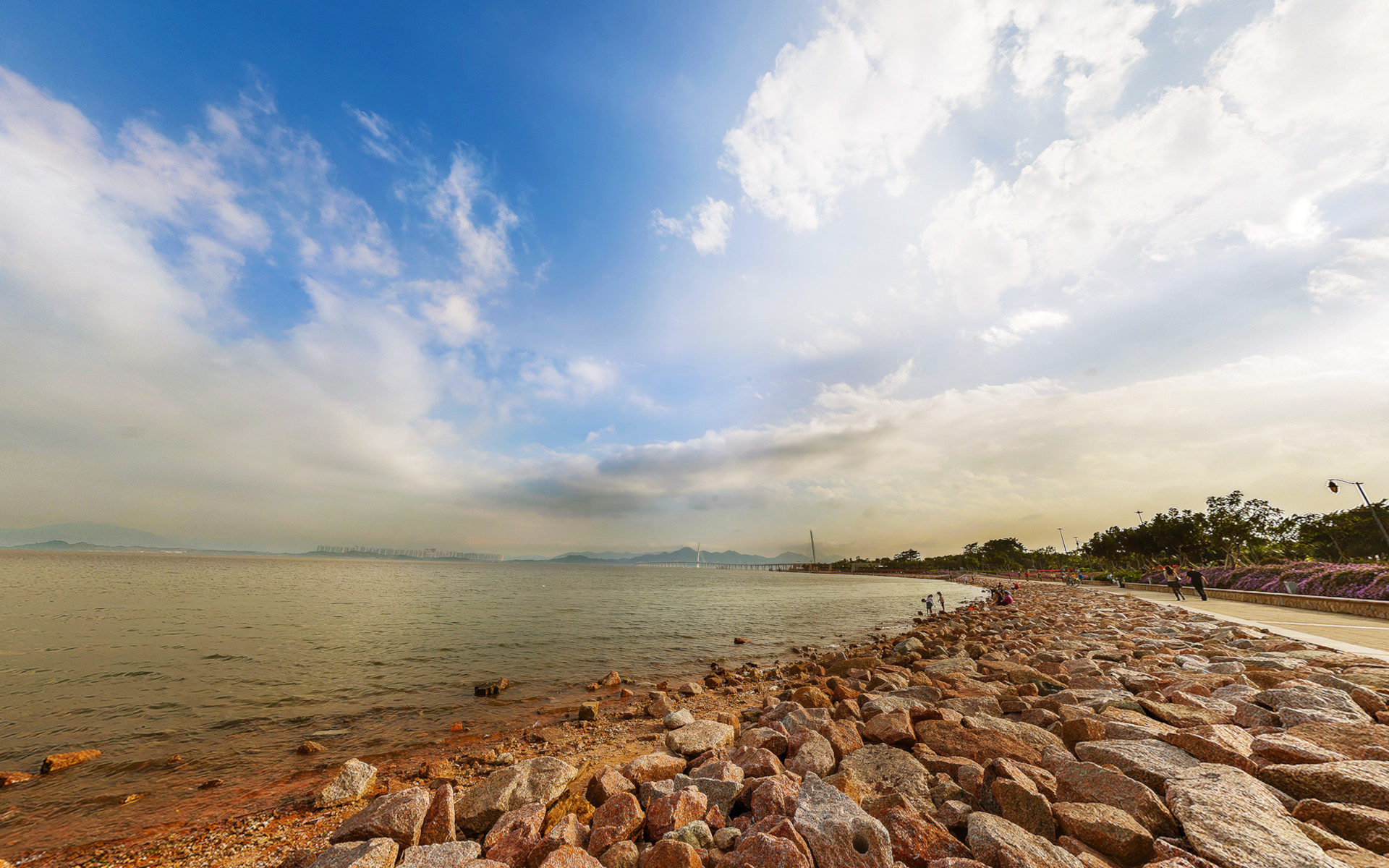 深圳大桥 深圳湾 海边 深圳