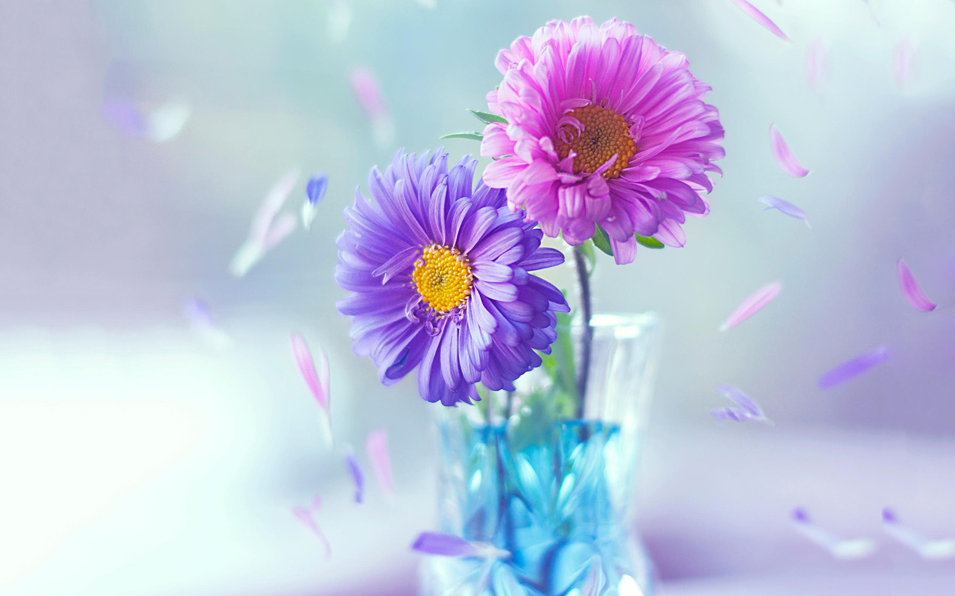 小清新 鲜花 唯美 温馨