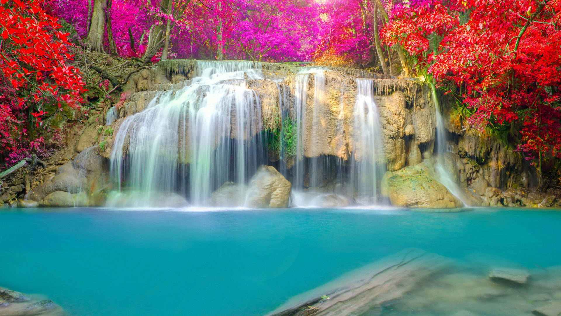 风景 自然风景 溪水潺潺 花红似火