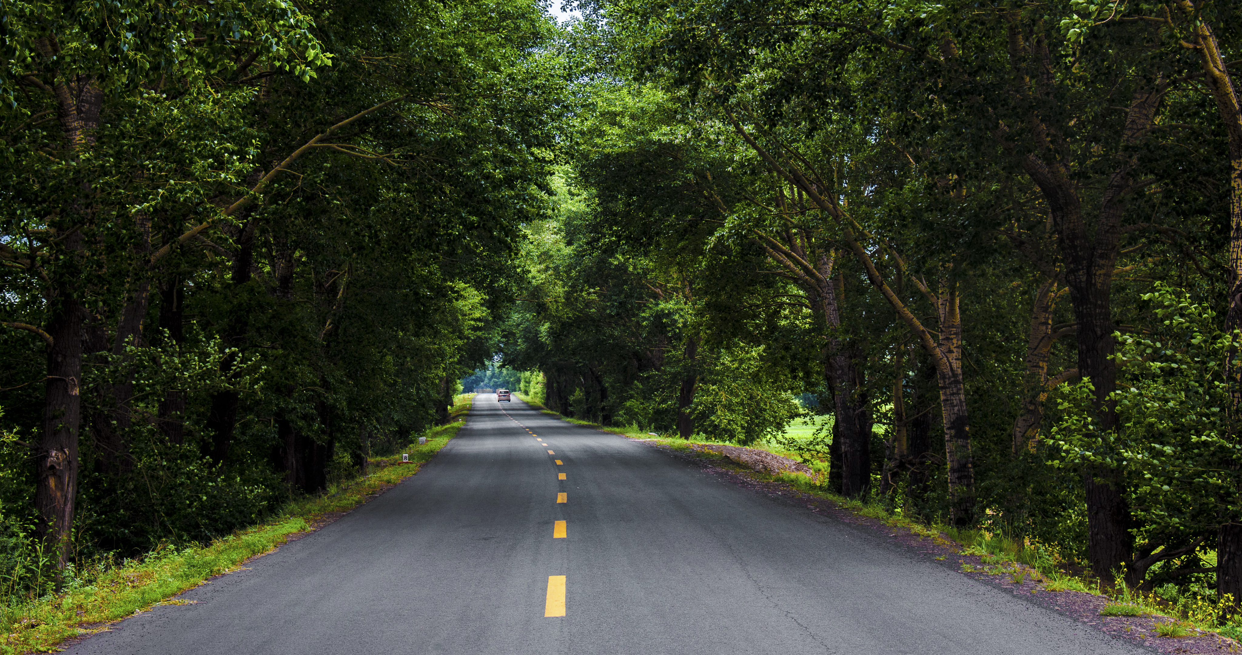 4K 风景 道路