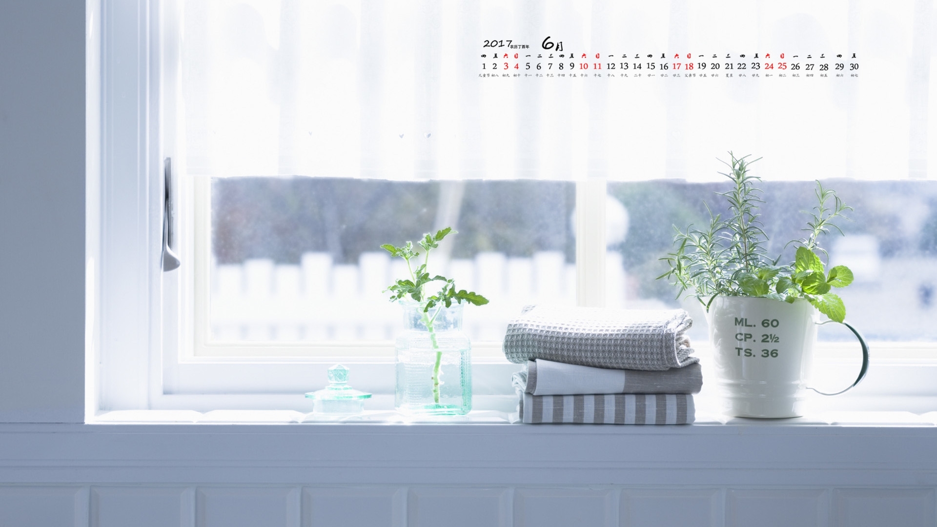 2017年6月 盆栽 绿色植物 窗台