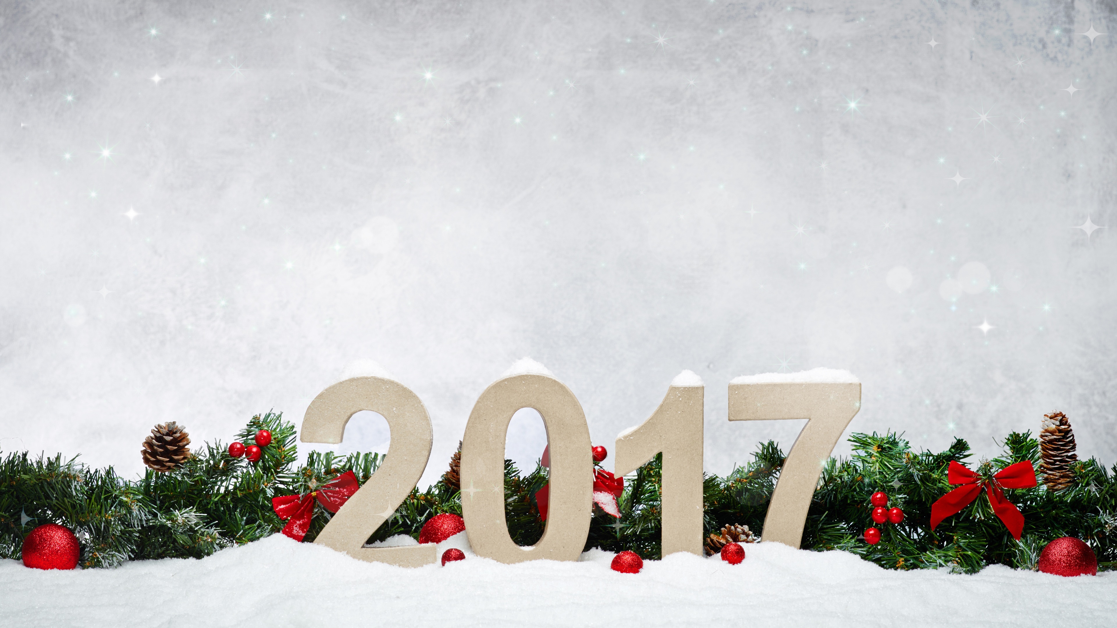 2017 元旦节 新年