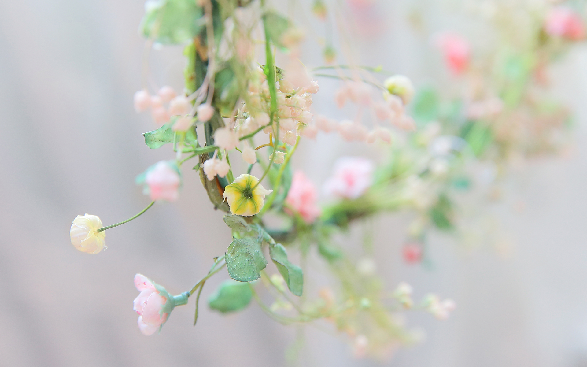 小清新 温馨一刻